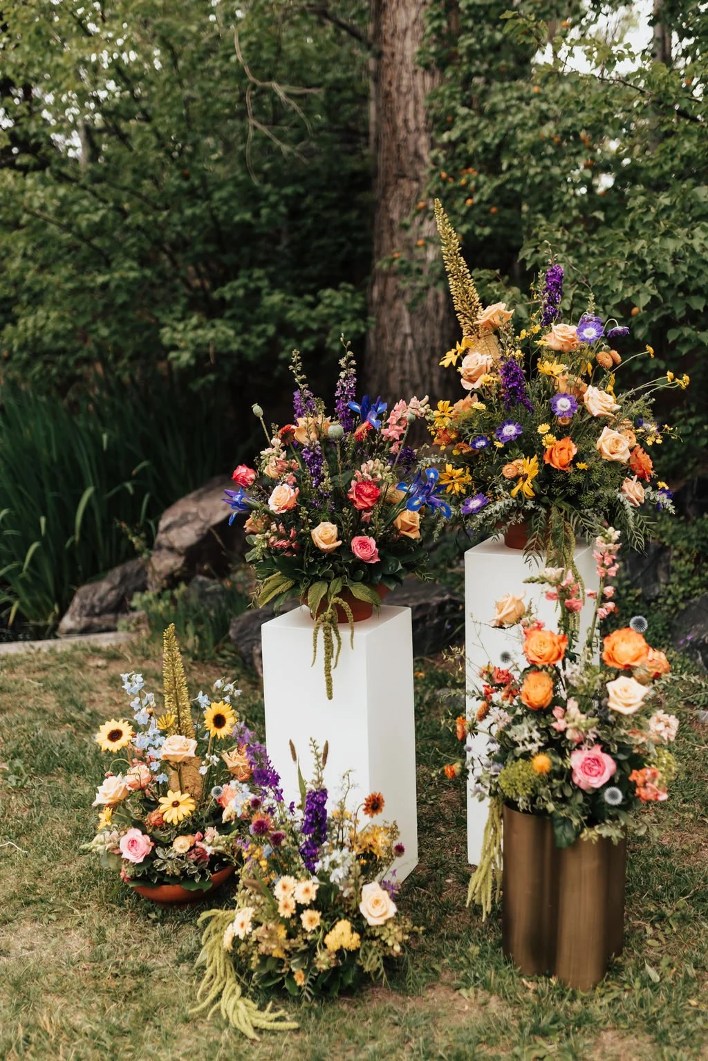 Alicia Lucia Photography