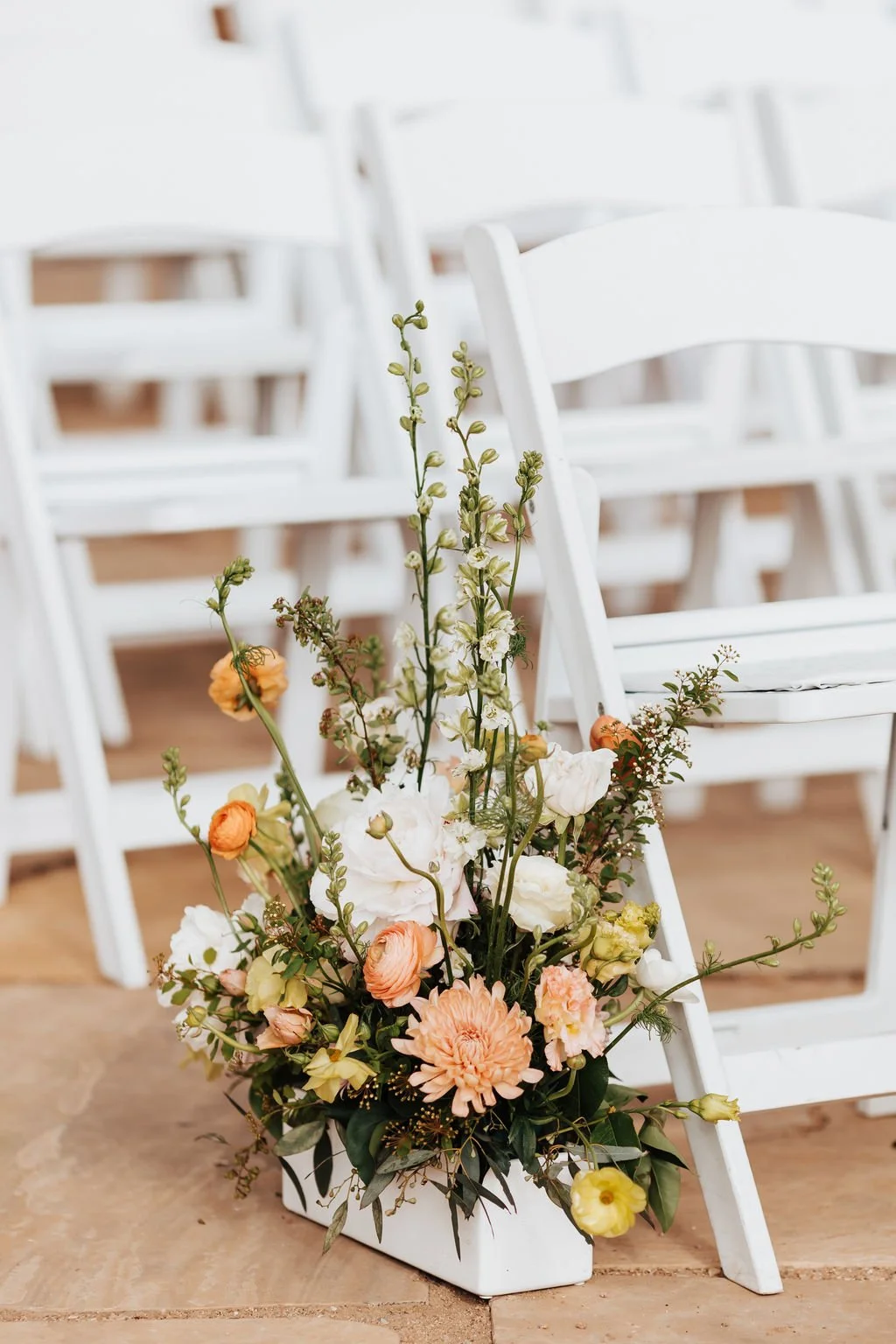 Alicia Lucia Photography