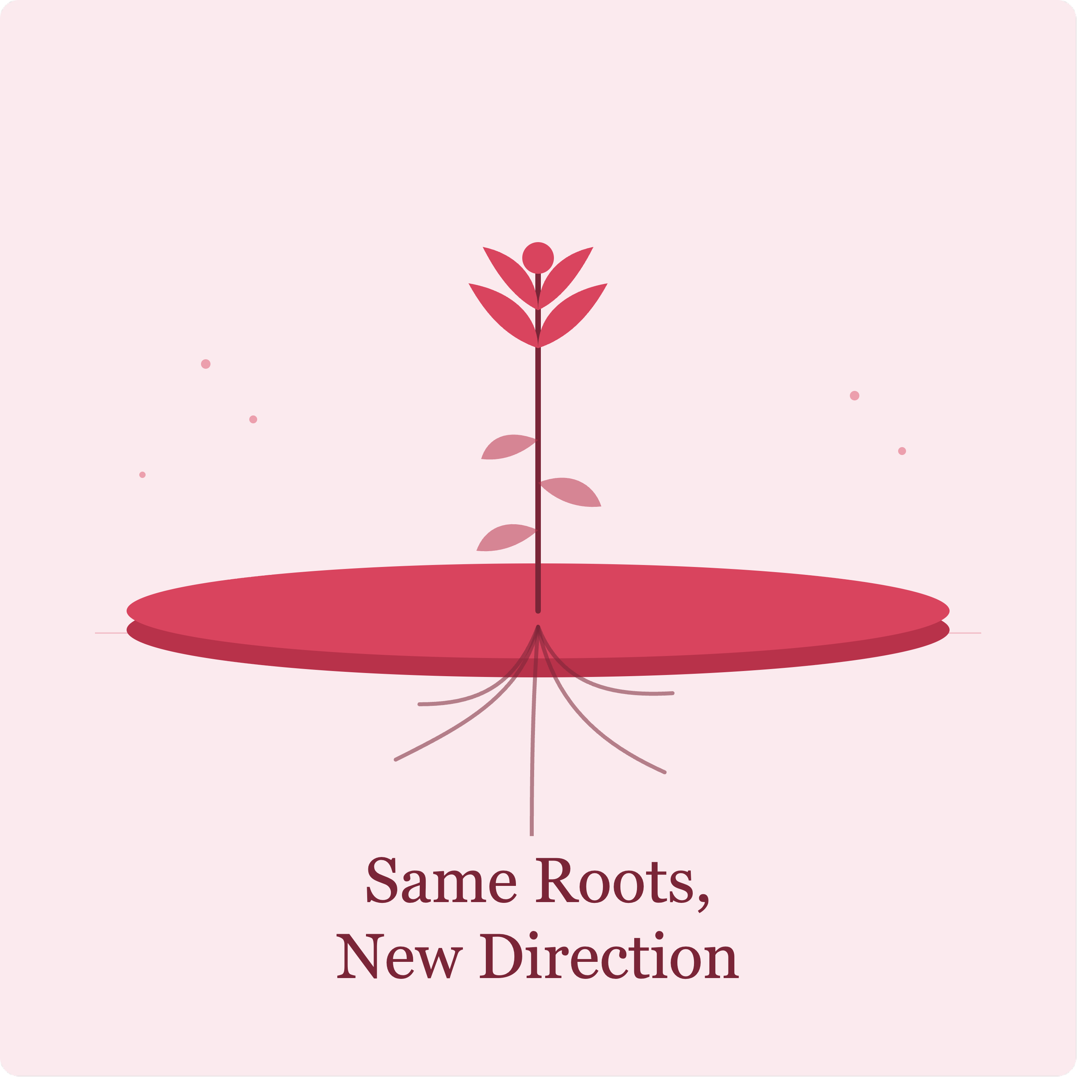 Same Roots, New Direction