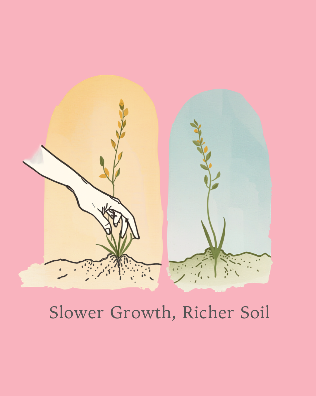 Slower Growth, Richer Soil: Finding Peace in my Second Planting