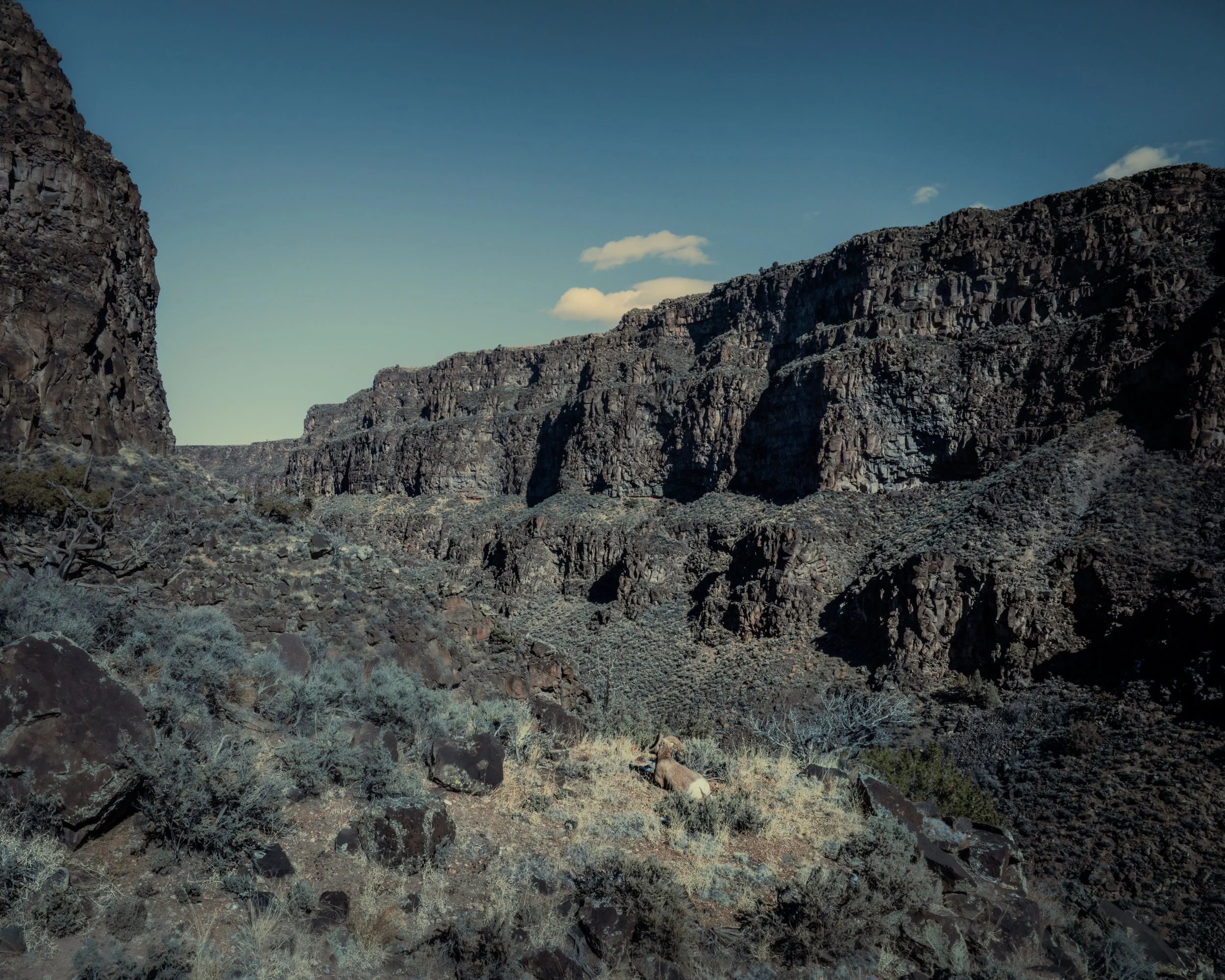 NEW MEXICO
