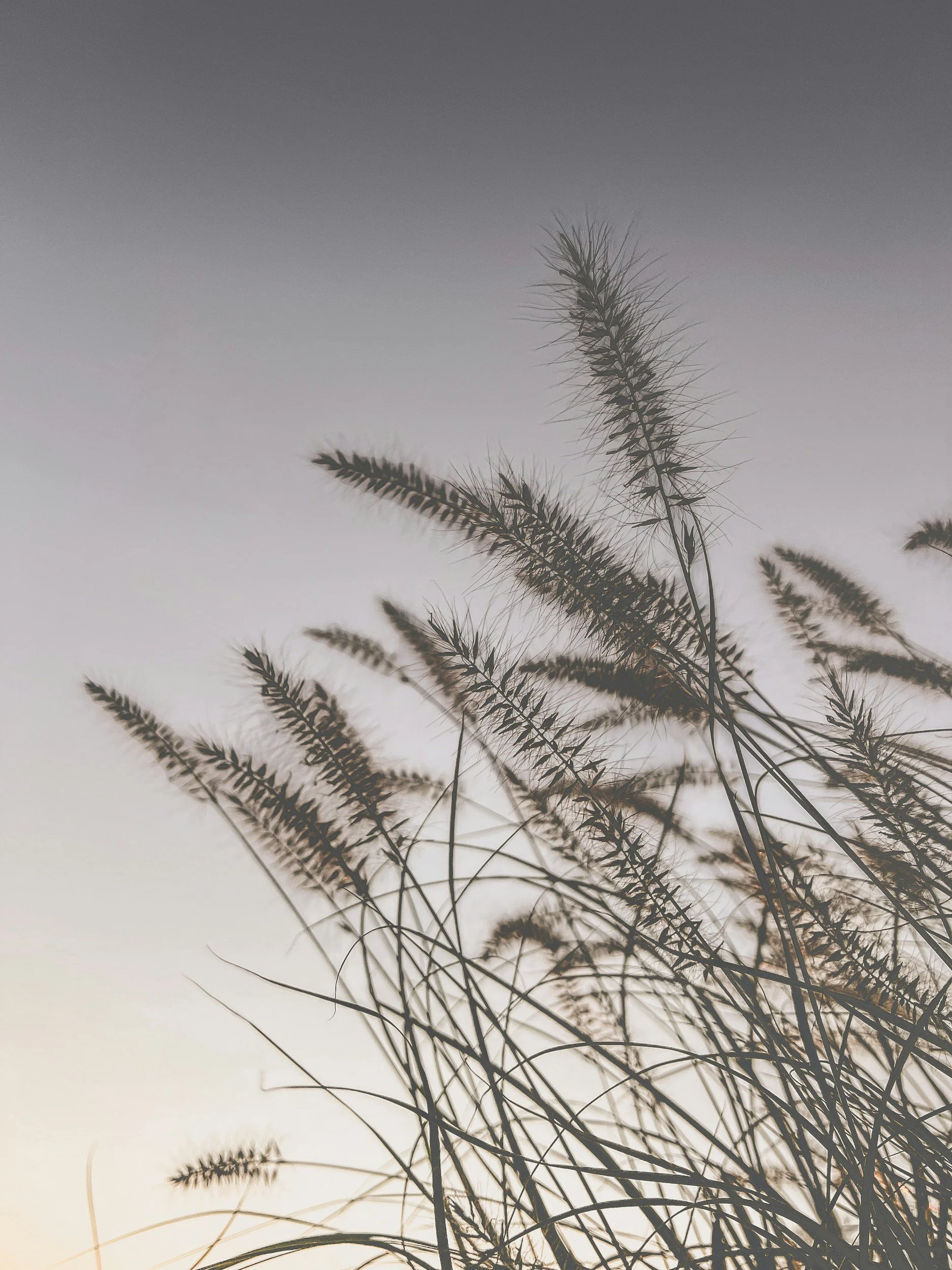 Customized small business coaching and support services for local entrepreneurs