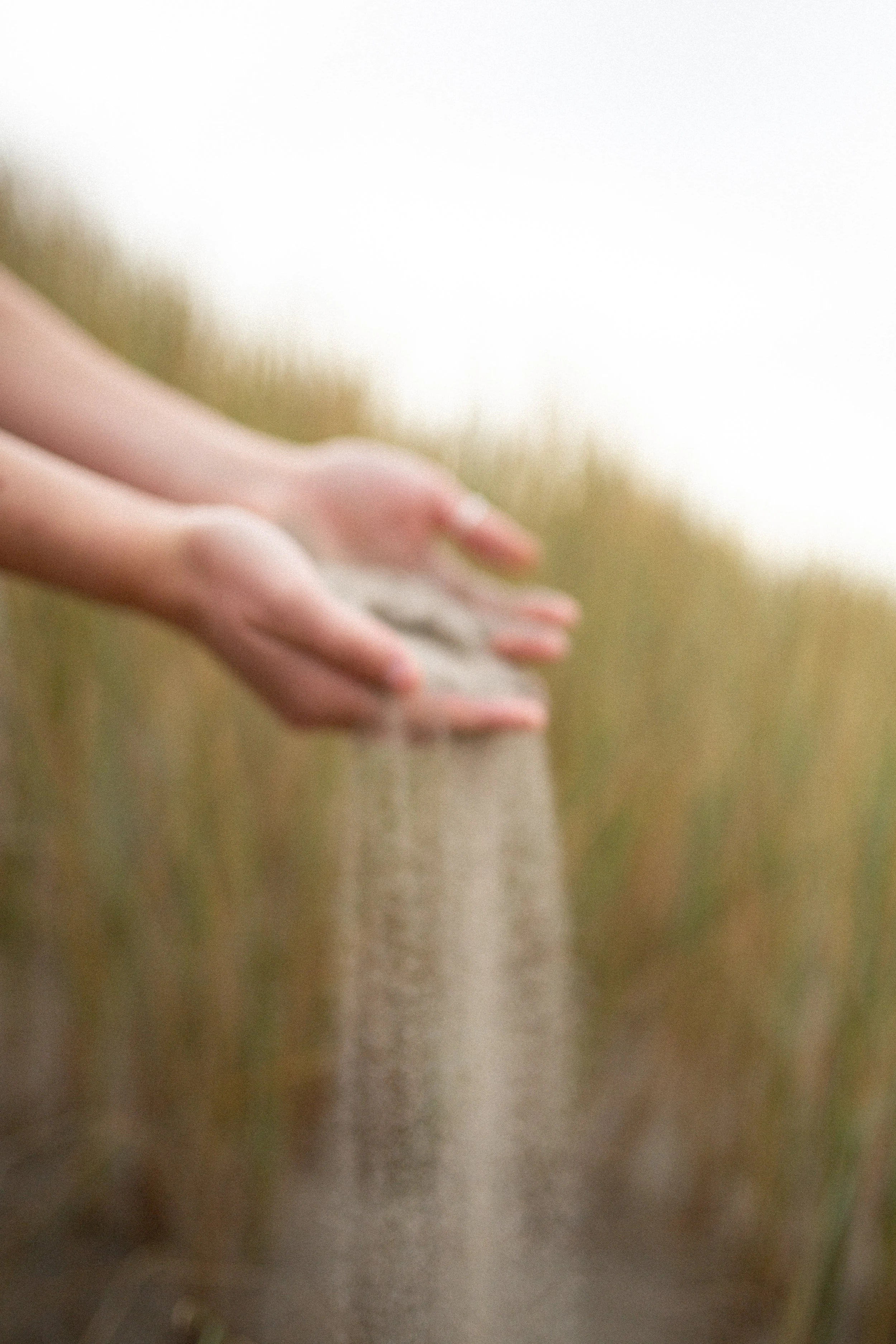 Business Coaching Santa Cruz Audrey Remde