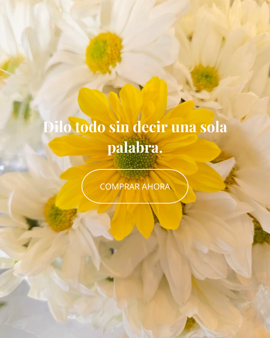 COMPRAR AHORA (5).png