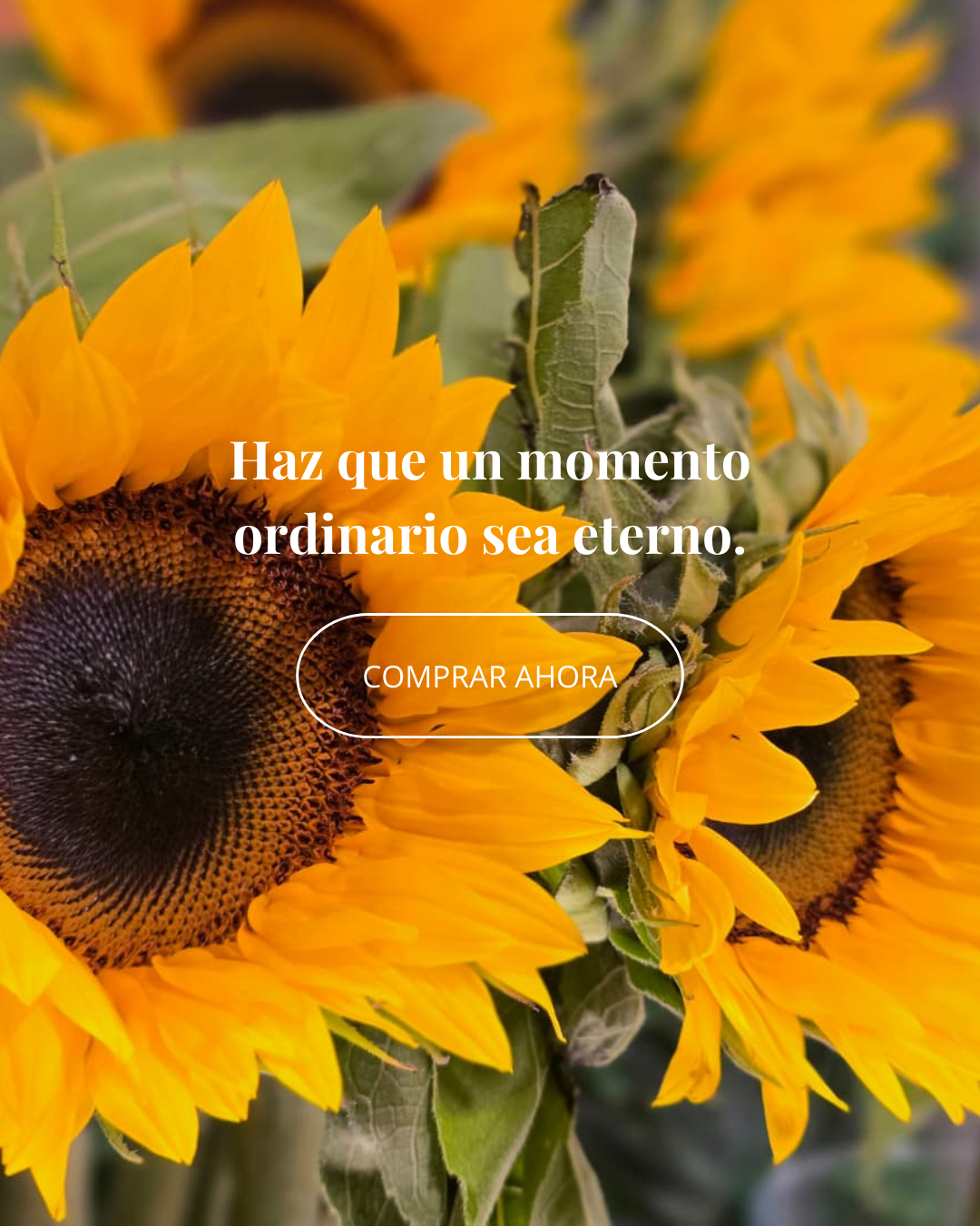 COMPRAR AHORA (2).png