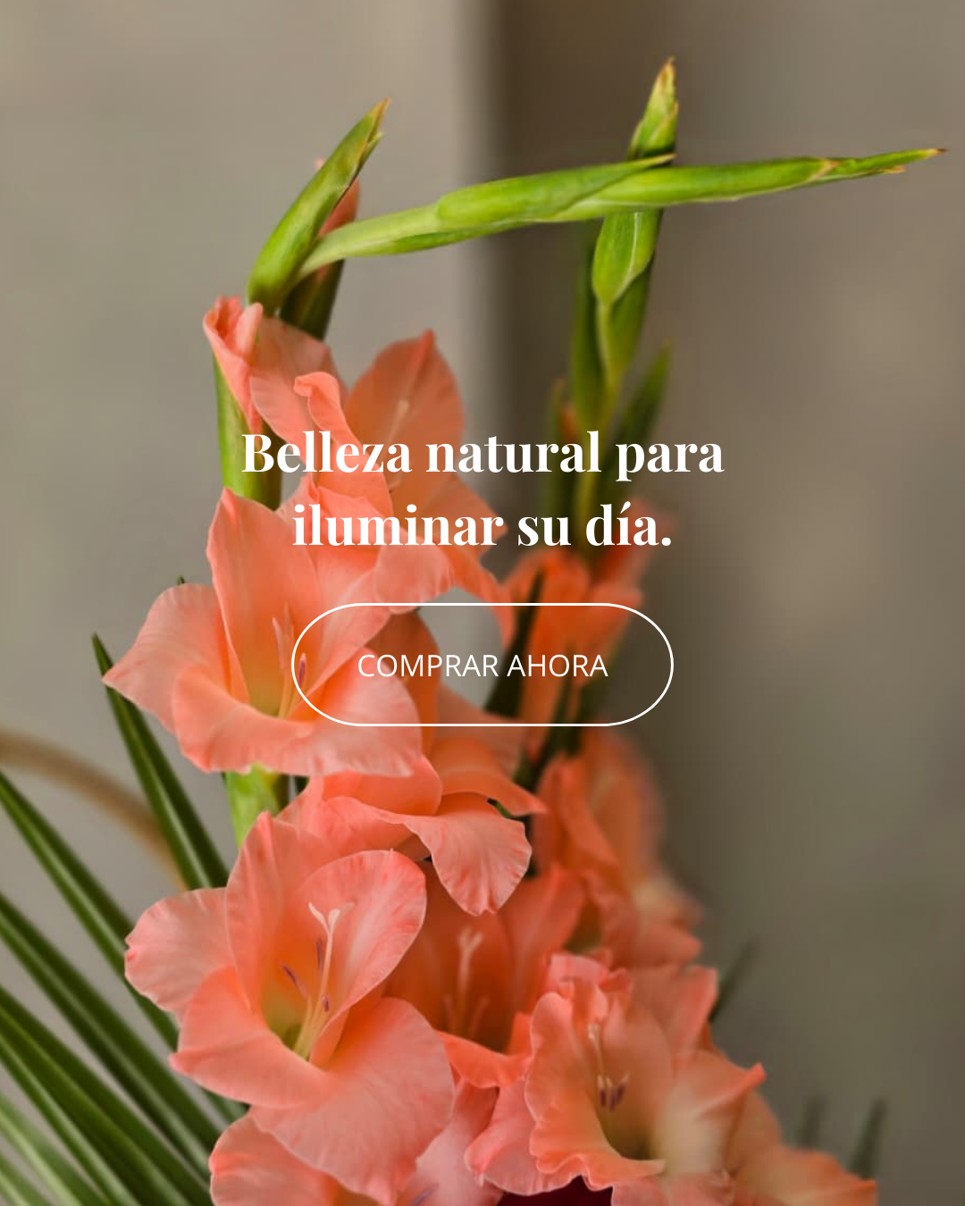 COMPRAR AHORA (3).png