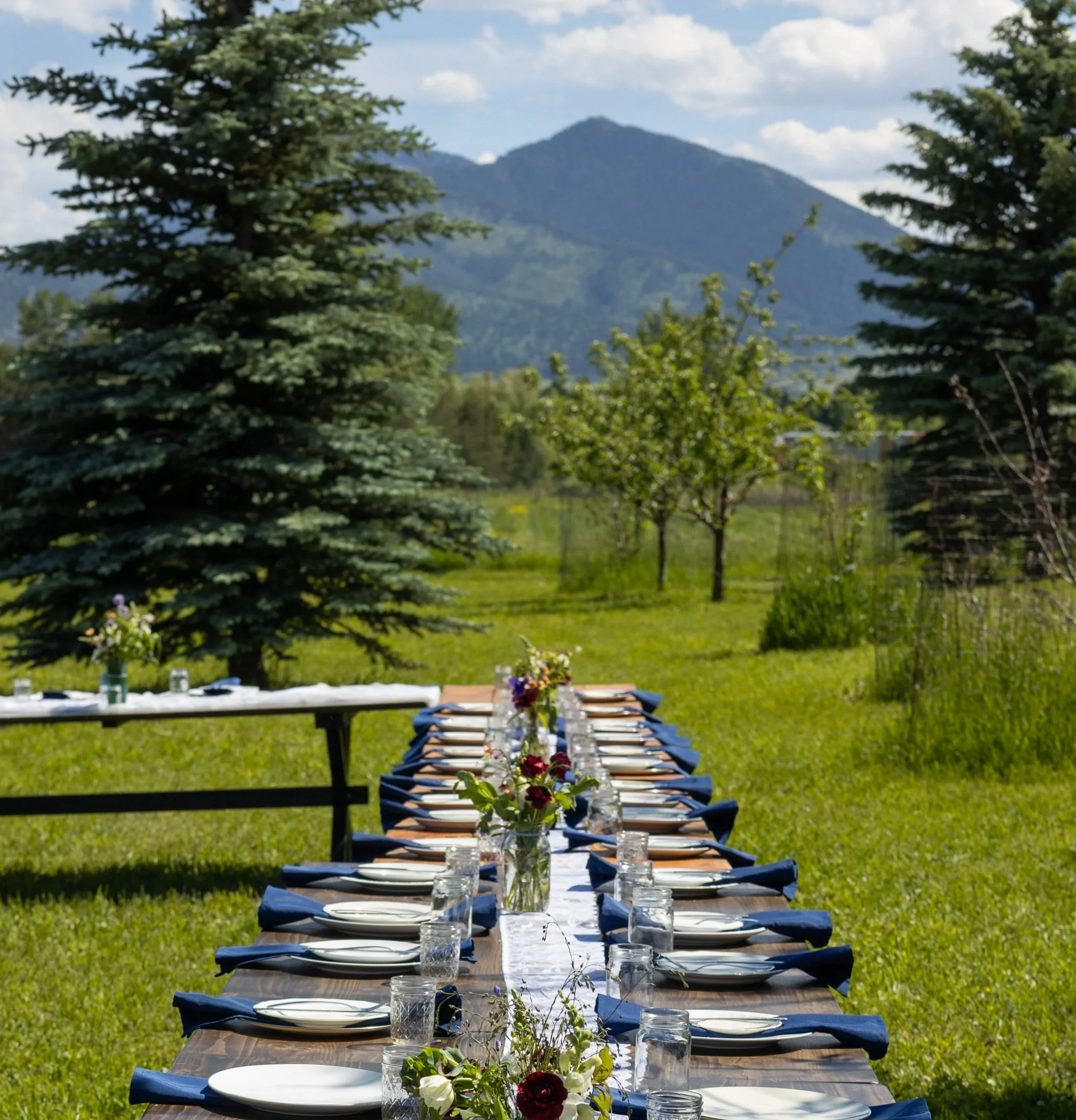 Catered outdoor wedding featuring a locally sourced farm to table menu held at a Rocky Creek Farms in Bozeman MT