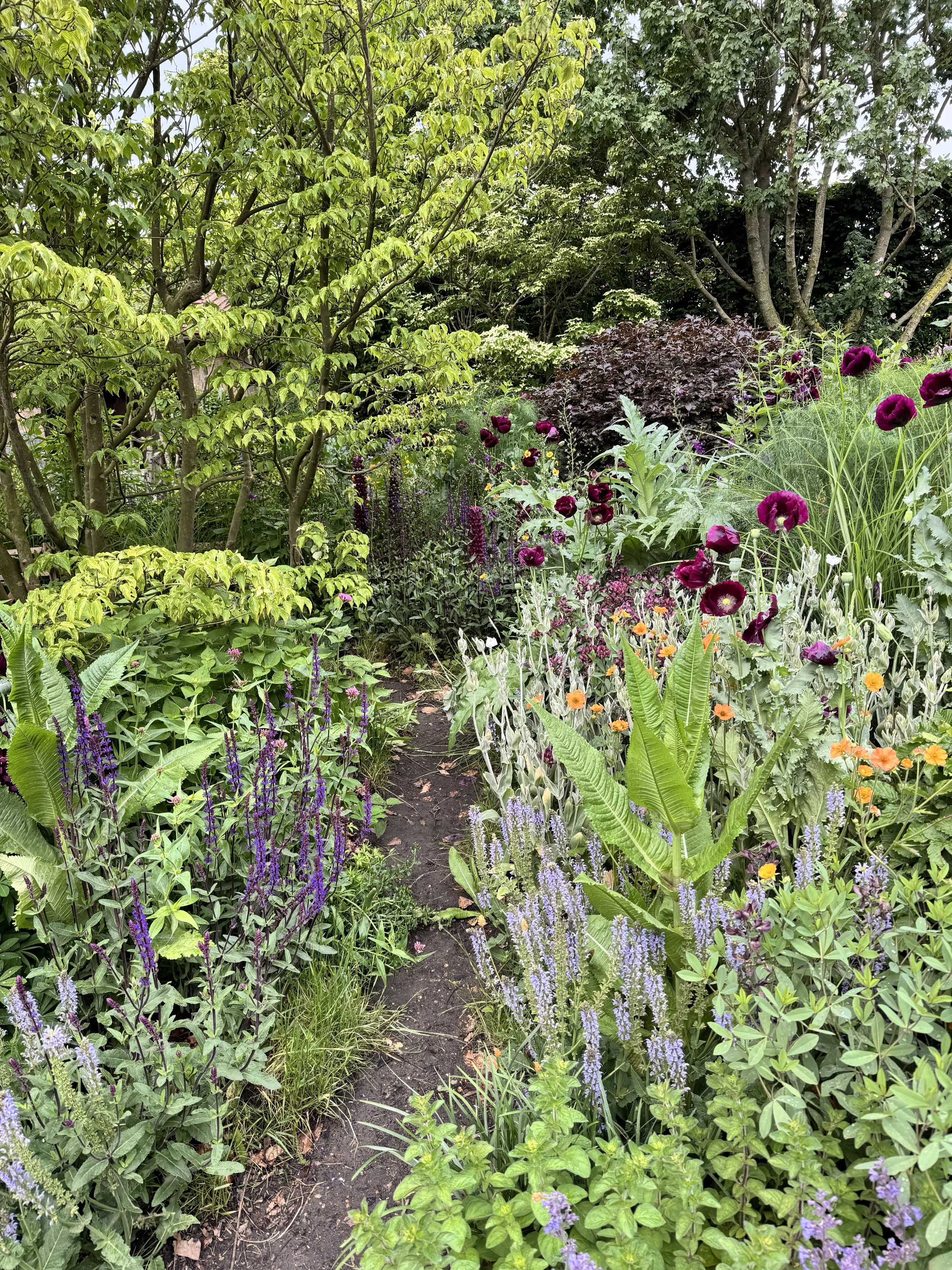 Mixed perennial garden with gravel pathway demonstrating sustainable permeable surface and naturalistic plantings