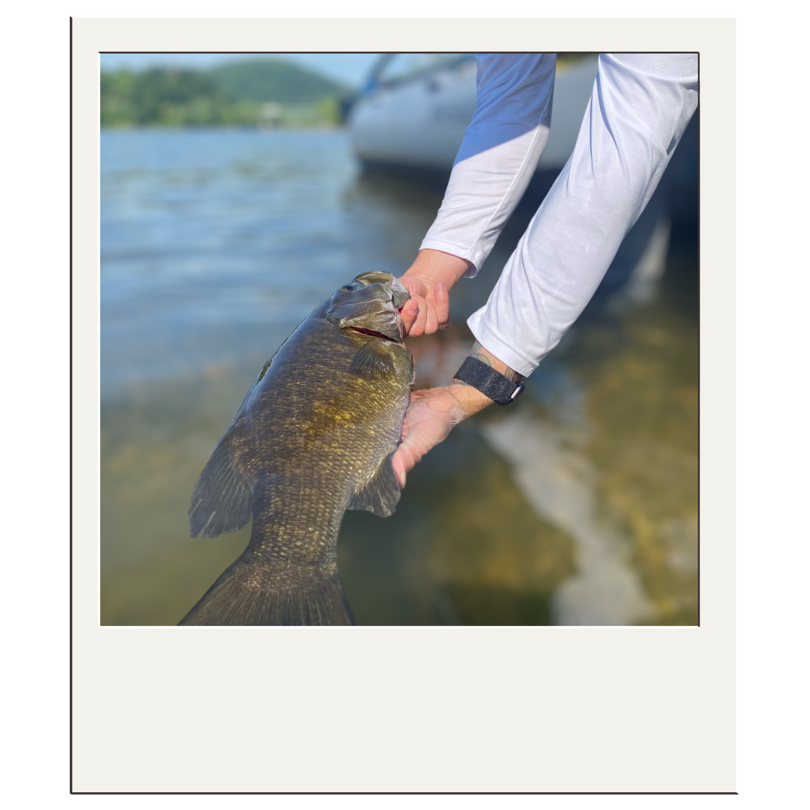 Catch-and-release smallmouth bass fishing in the clear waters around Harpers Ferry, West Virginia.