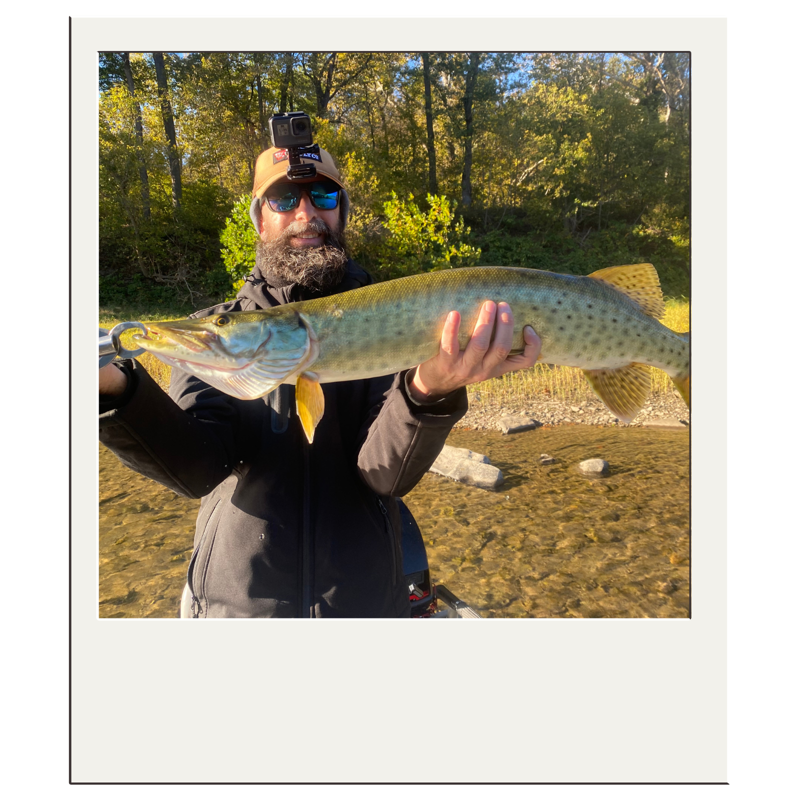 Client showing catch on a guided Potomac River outing in the northeast panhandle of WV.