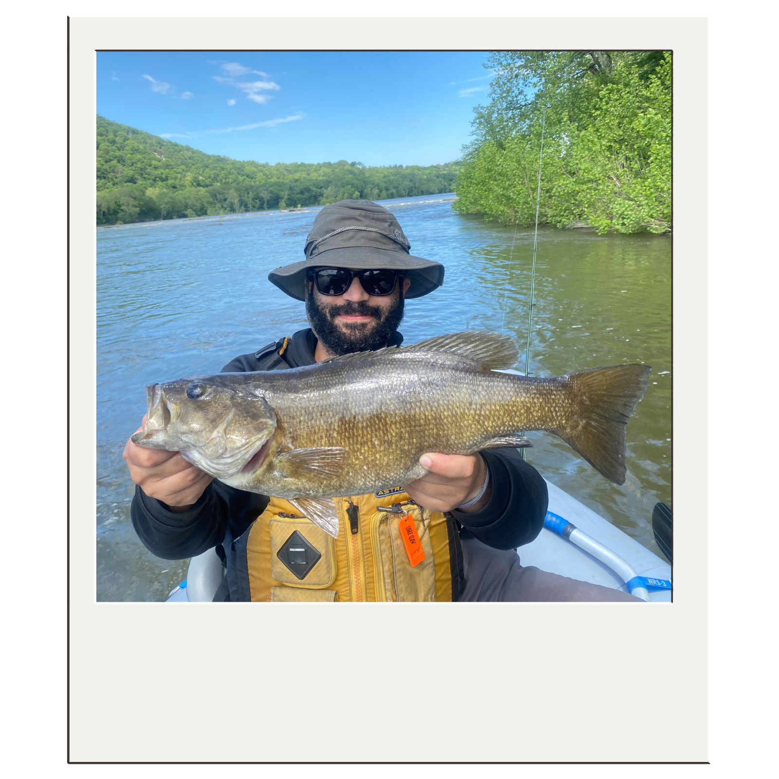 Fly-fishing client showing a large smallmouth bass from a guided Potomac River outing.