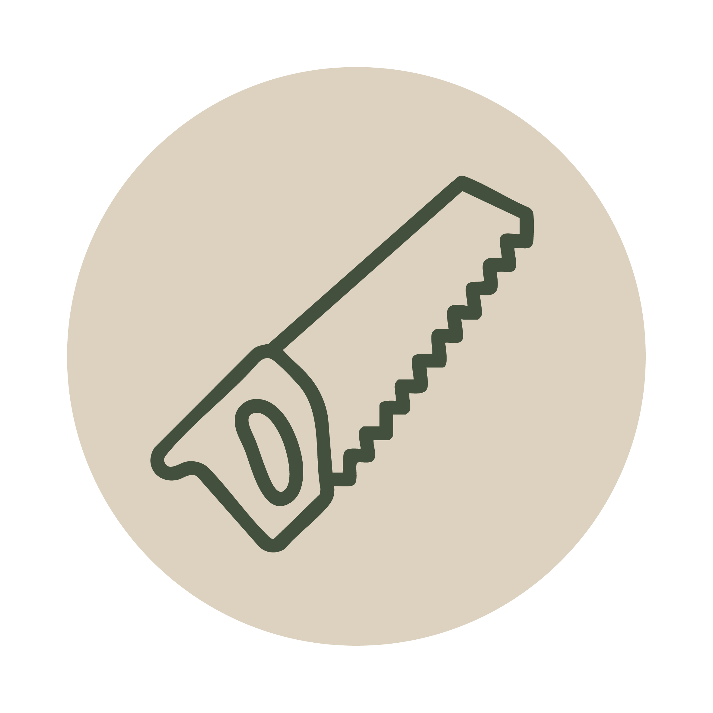 Carpentry Repairs & Installations