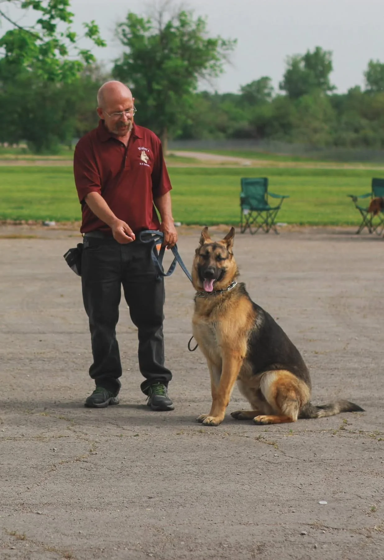 A man in a maroon shirt stands with a German Shepherd dog on a leash in an outdoor park area, with green grass and trees in the background.