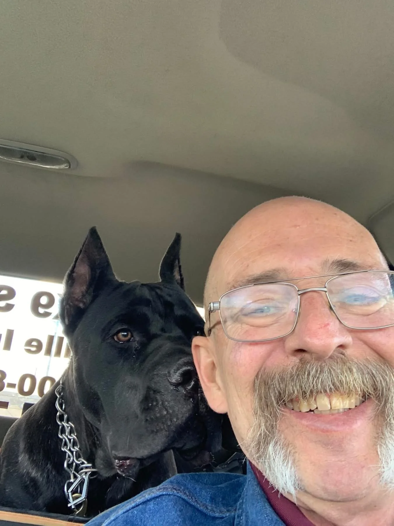 A man with glasses and a beard smiling next to a black dog with a chain collar inside a vehicle.