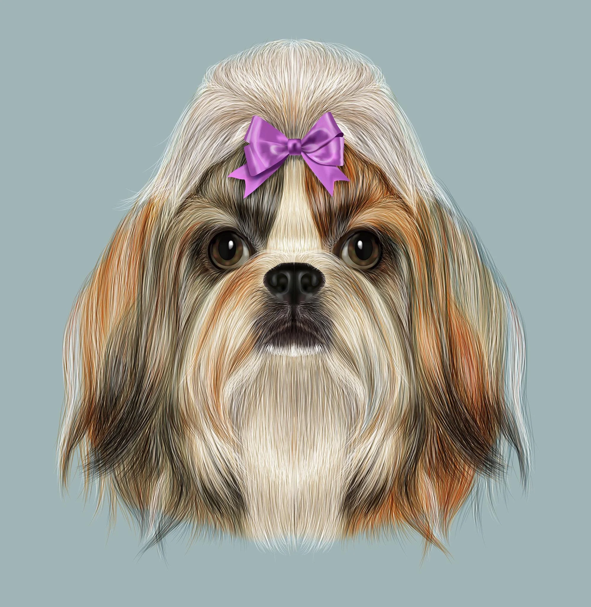 Digital illustration of a dog with long, fluffy fur, a purple bow on its head, and a serious expression, set against a plain gray background.