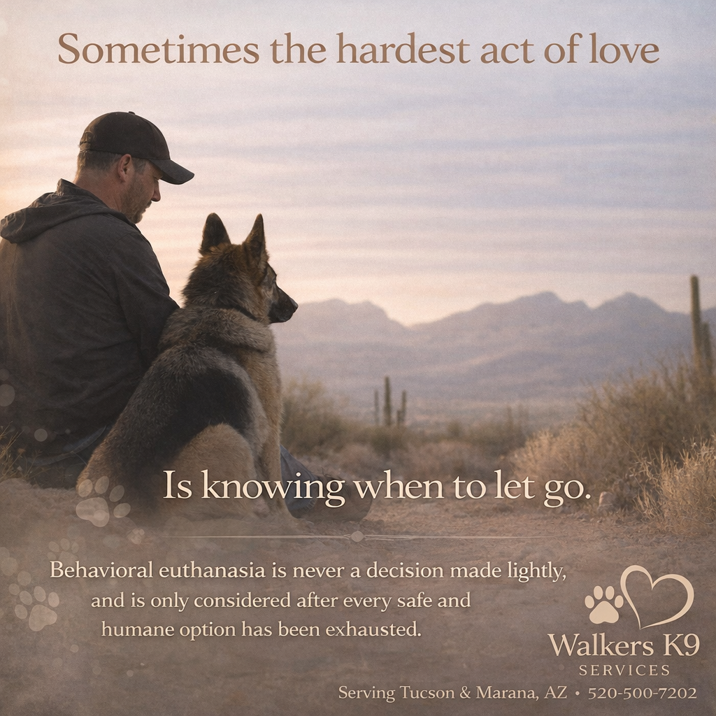 A man sitting with a German Shepherd dog in a desert landscape during sunset with mountains and cacti in the background. The image contains the text 'Sometimes the hardest act of love is knowing when to let go.'