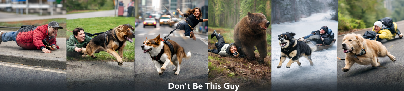 A collage of people and dogs in humorous and active scenarios, with the caption 'Don't Be This Guy' at the bottom.