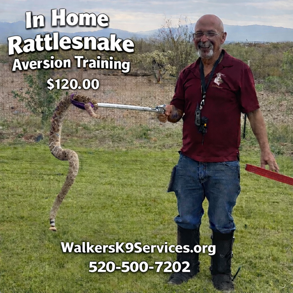 A man standing on grass in an arid landscape, holding a snake with a hook. He is smiling, wearing glasses, a maroon shirt, jeans, and black boots. There is text overlay advertising a rattlesnake aversion training class for $120, with a website and phone number.