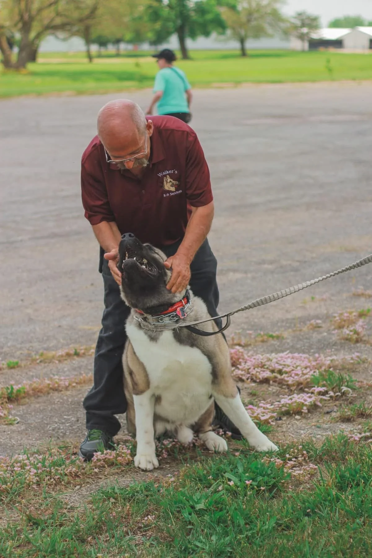 A man petting a large dog sitting on the ground outdoors, with a woman walking in the background and trees visible in the distance.