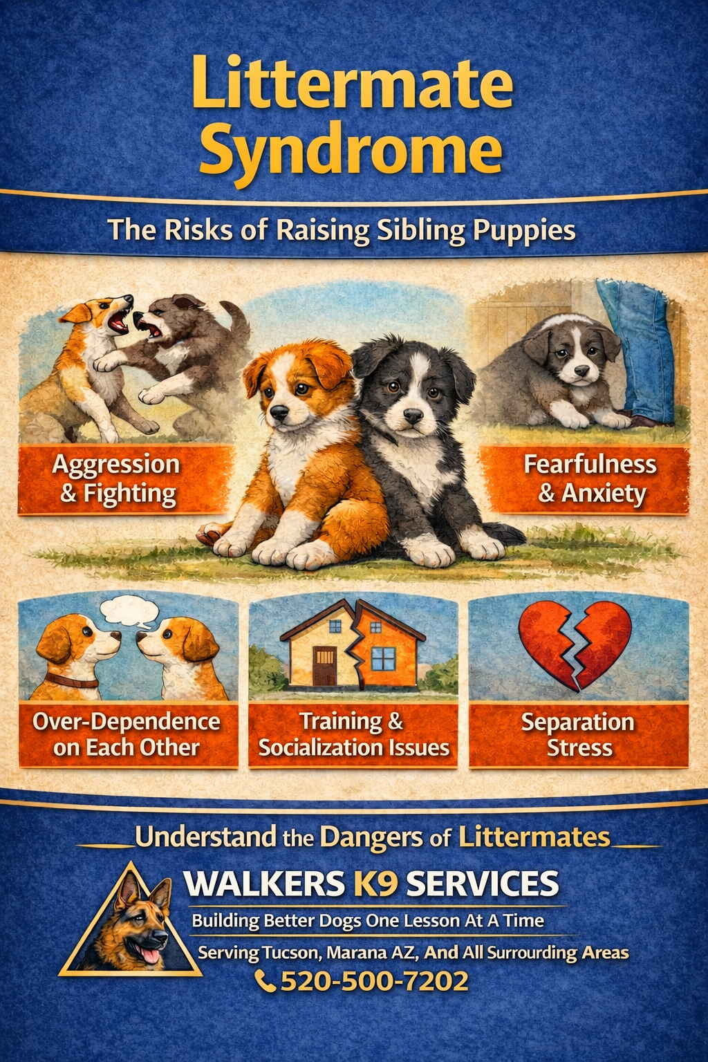 A brochure about littermate syndrome features a blue background with a collage of three sections showing images of puppies. The top section shows two puppies fighting and a third puppy looking scared, with labels indicating aggression and fearfulness. The middle section shows two puppies facing each other with a thought bubble and a house, indicating over-dependence and socialization issues. The bottom section displays a broken heart icon and a house with a crack, indicating separation stress and training issues. The brochure is from Walkers K9 Services, offering dog training and socialization, with contact information at the bottom.