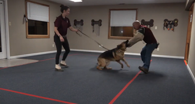 Two people practicing dog training with a German Shepherd inside a room.