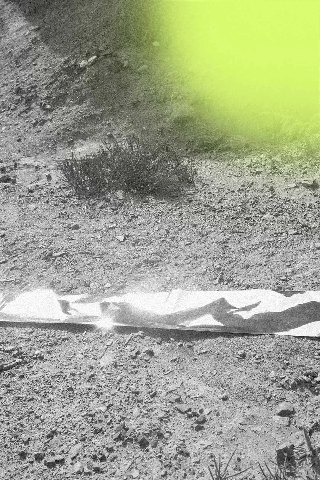 A sunlit, rocky desert ground with a small shrub in the center and a shiny metallic strip at the bottom of the image.