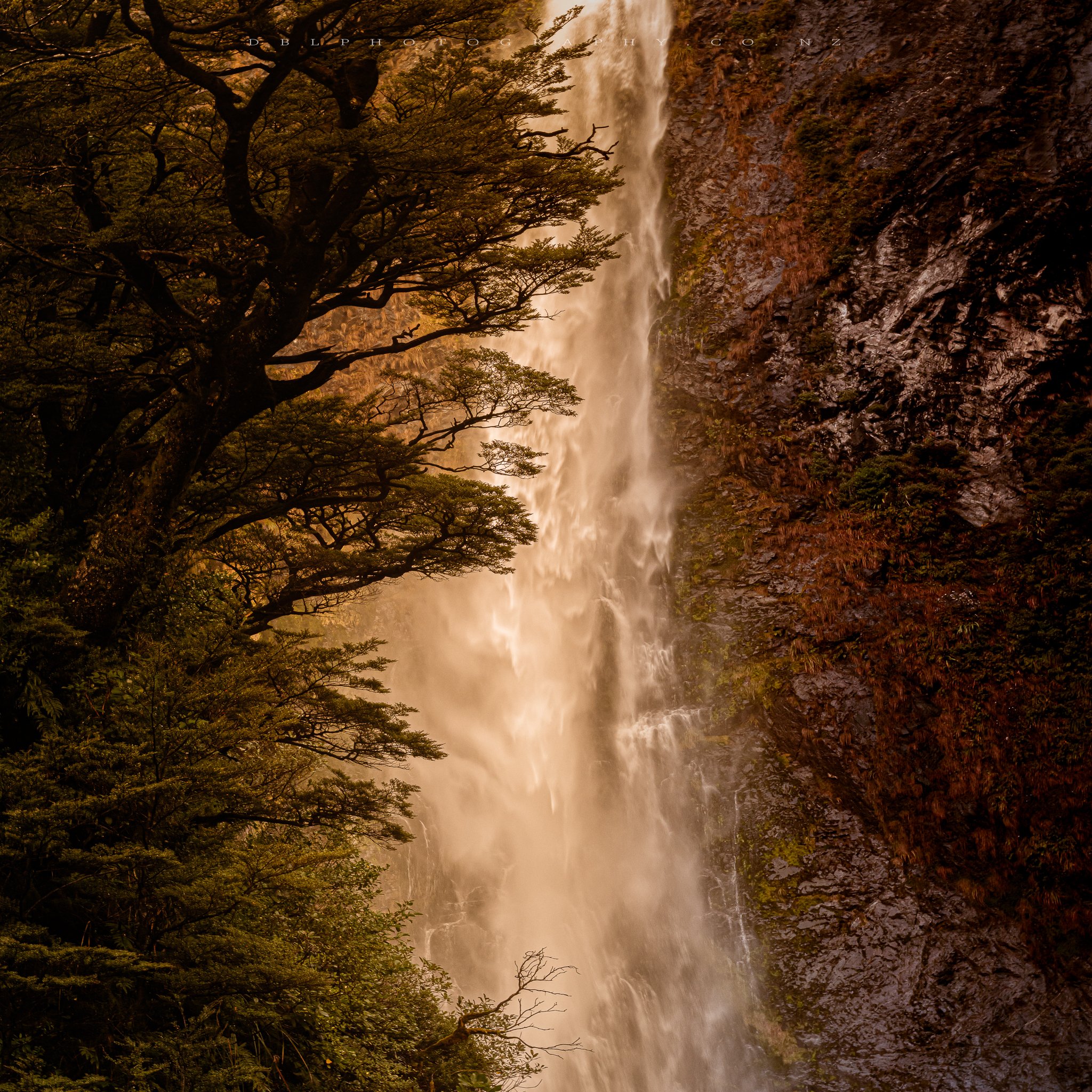 A waterfall cascading down a rocky cliff surrounded by dense green and brown foliage.