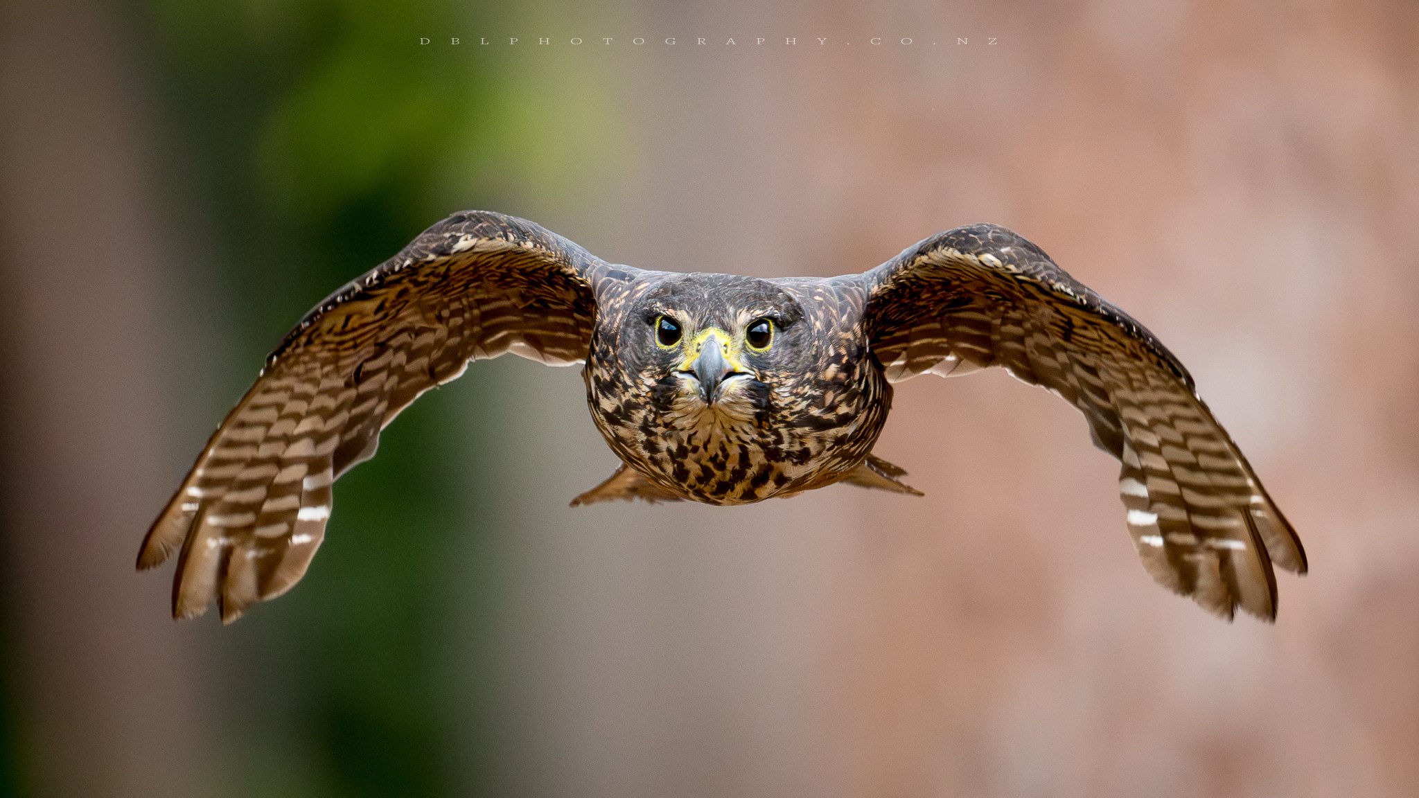 DSC_3328-Edit-4-Water Marked.jpg