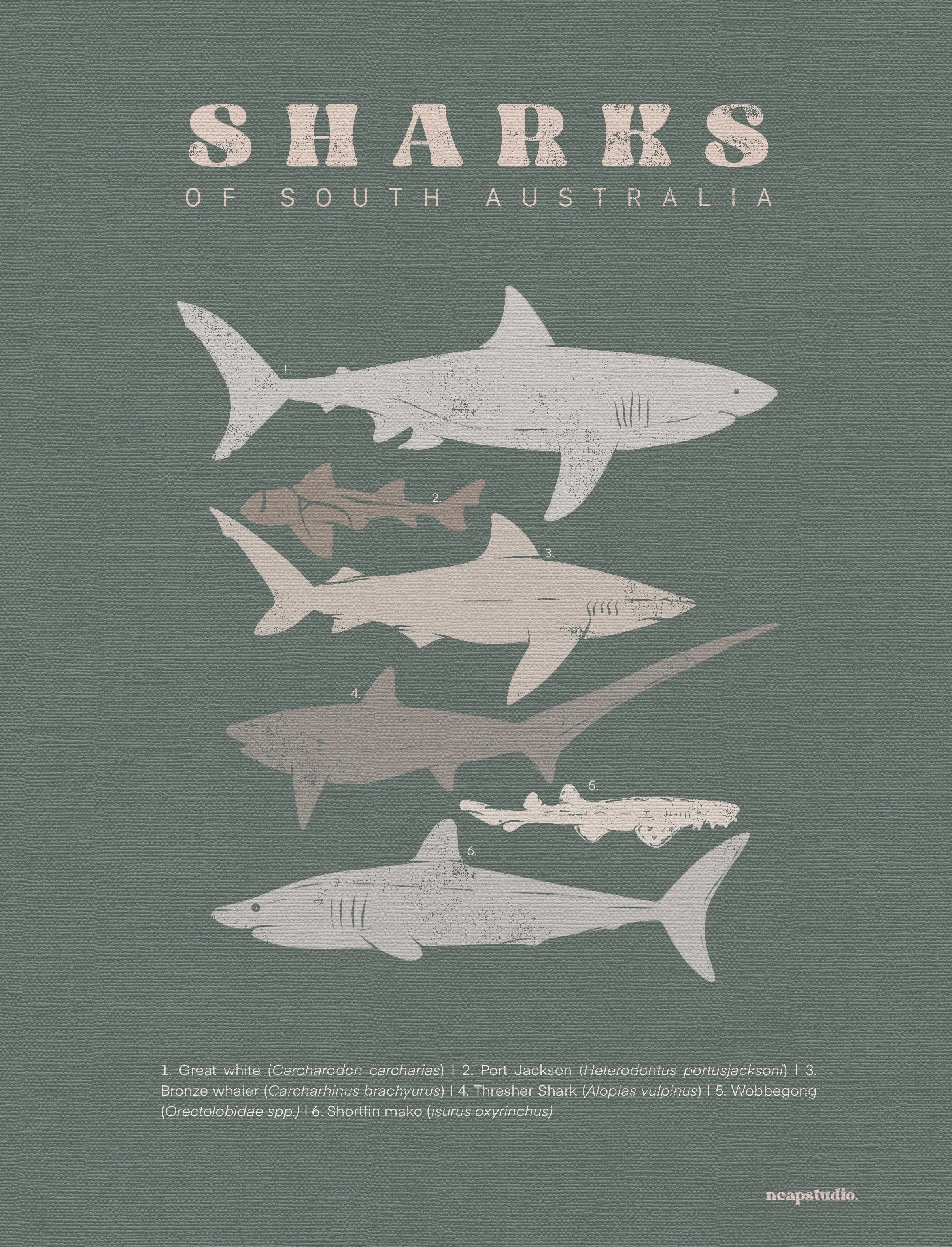 Canvas-Weave-by-TGTS 6.JPG