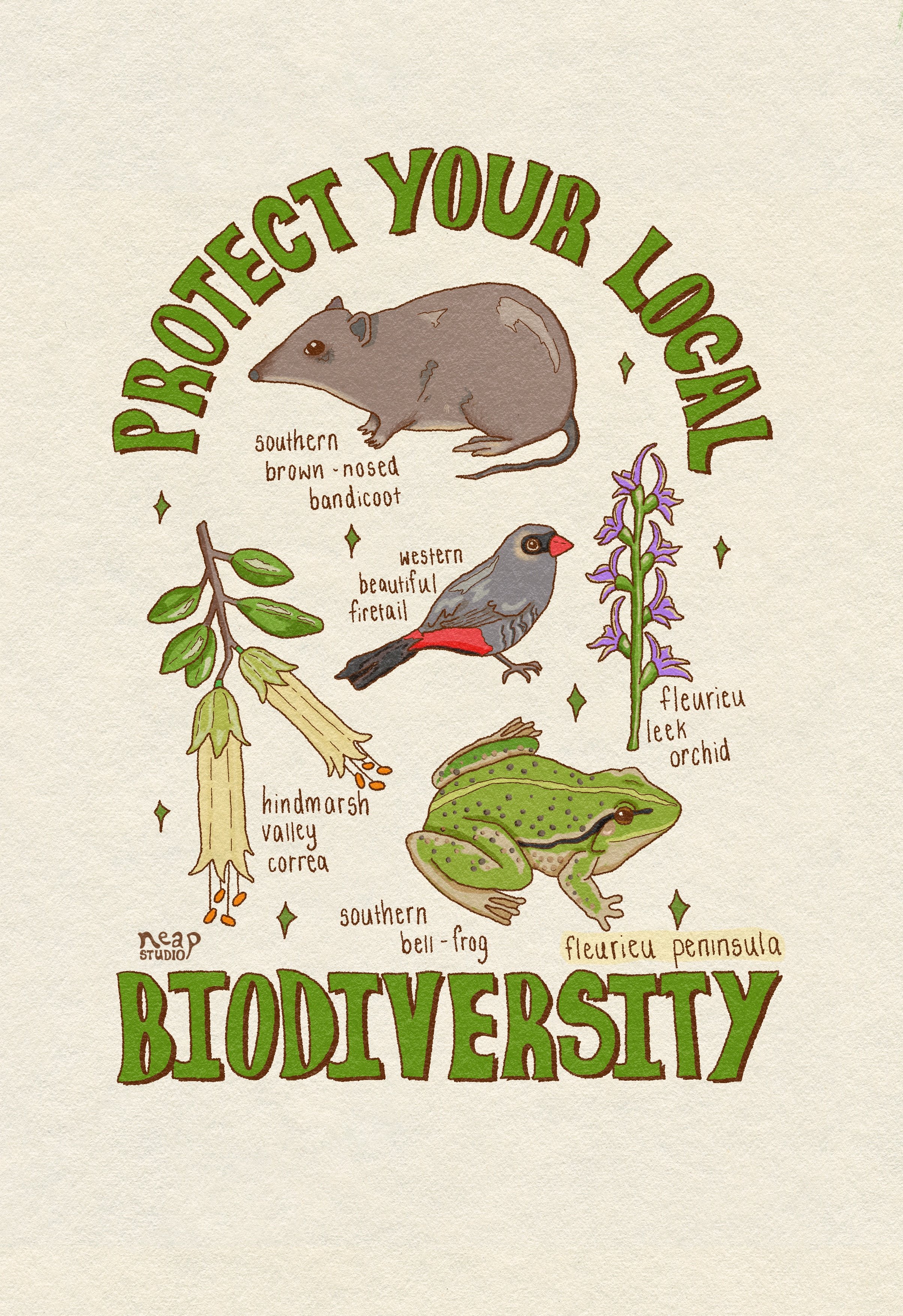 Guache-Board-by-TGTS 7.jpg