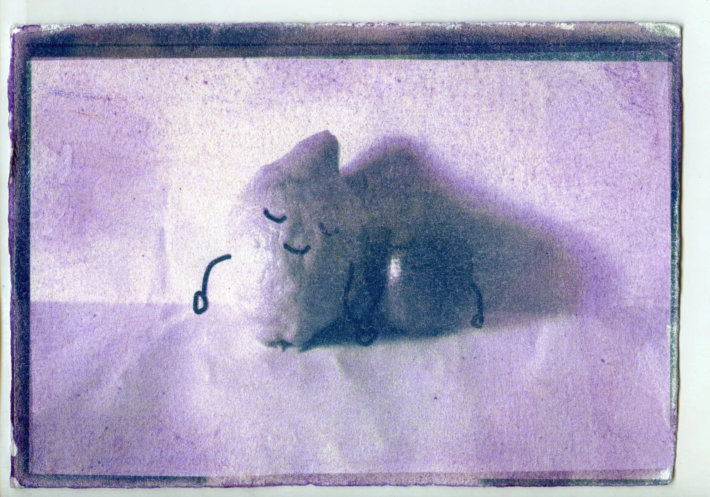 img20260504_12405552.jpg