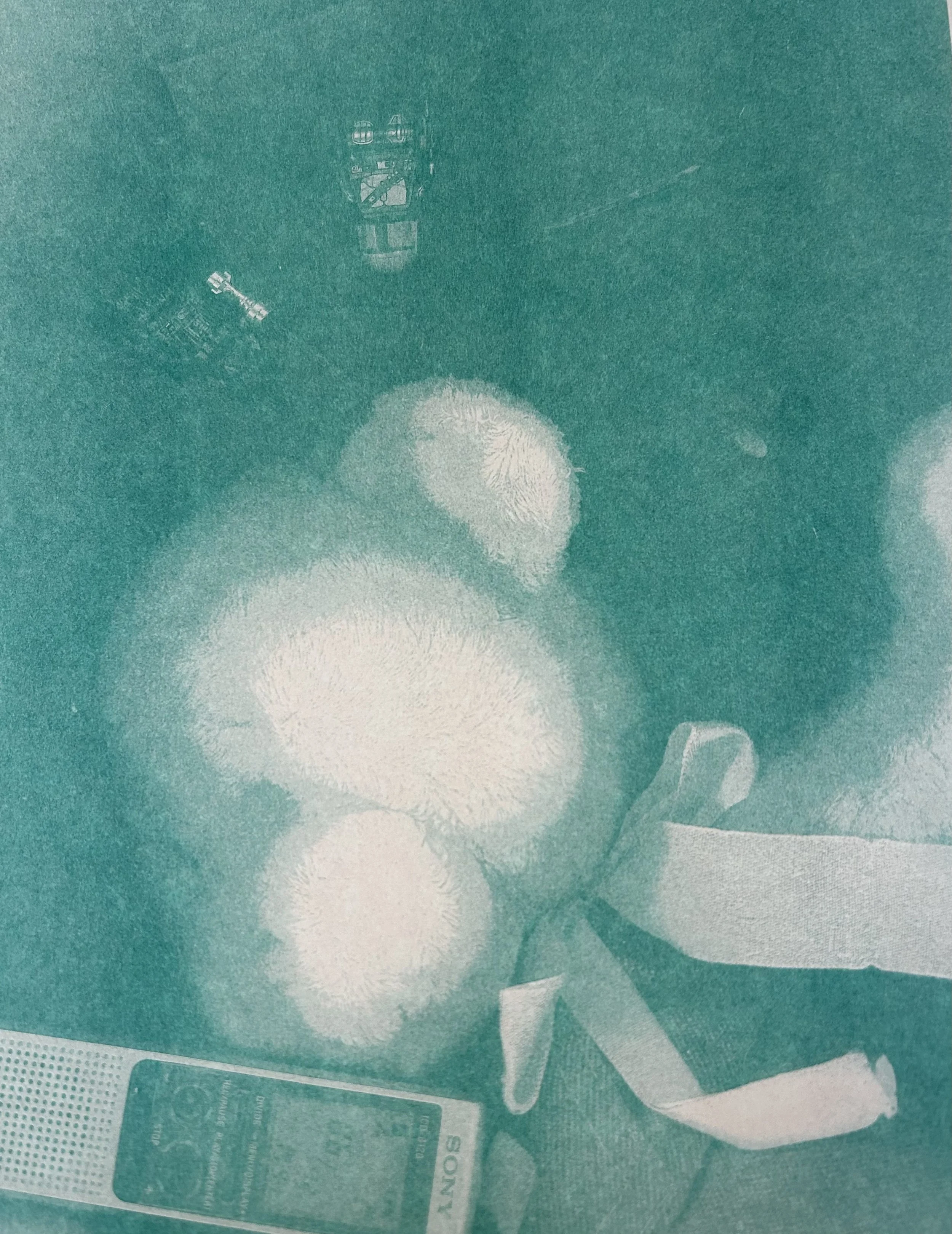 Care, 2024, Risograph