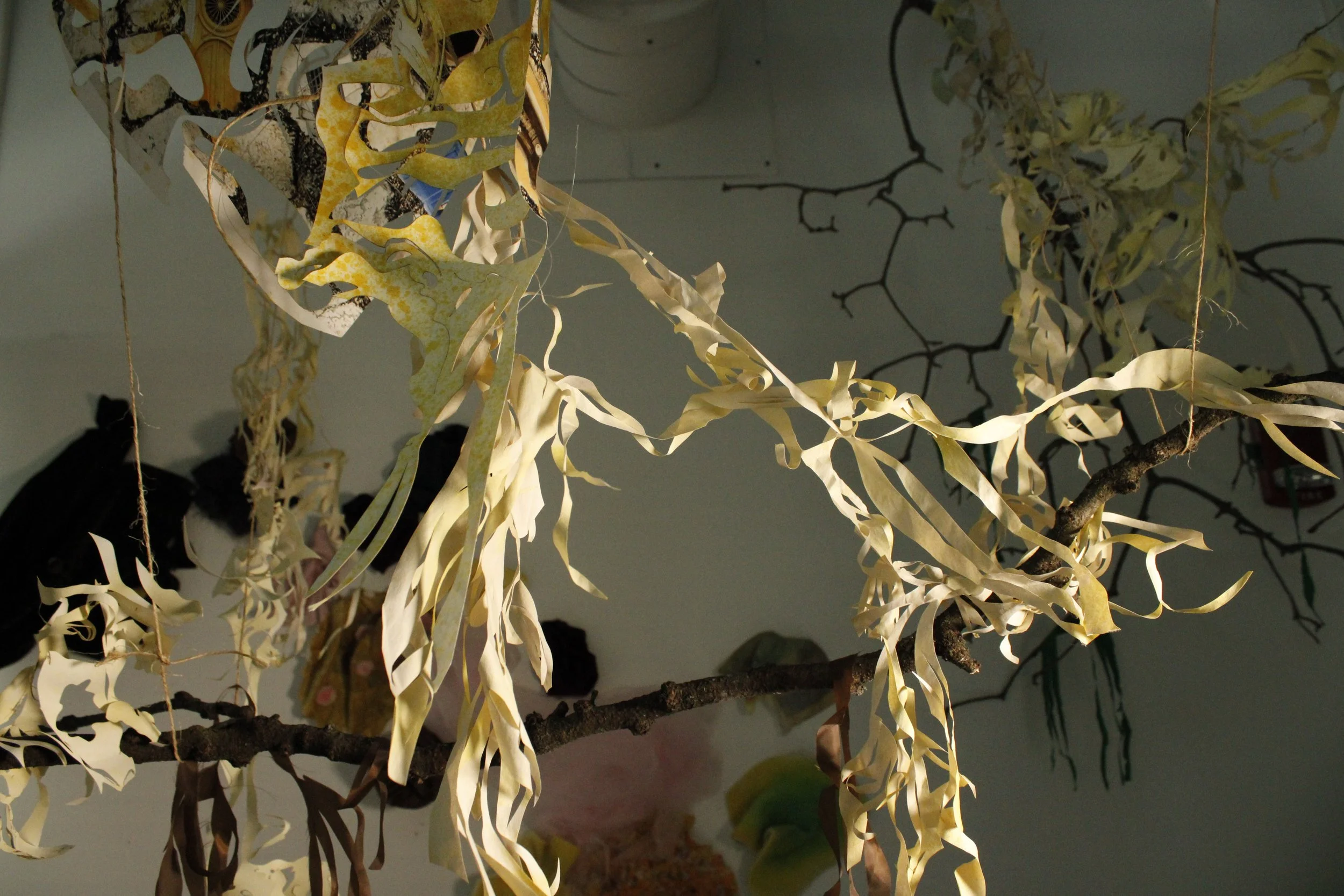 Lichen, Like You. 2024