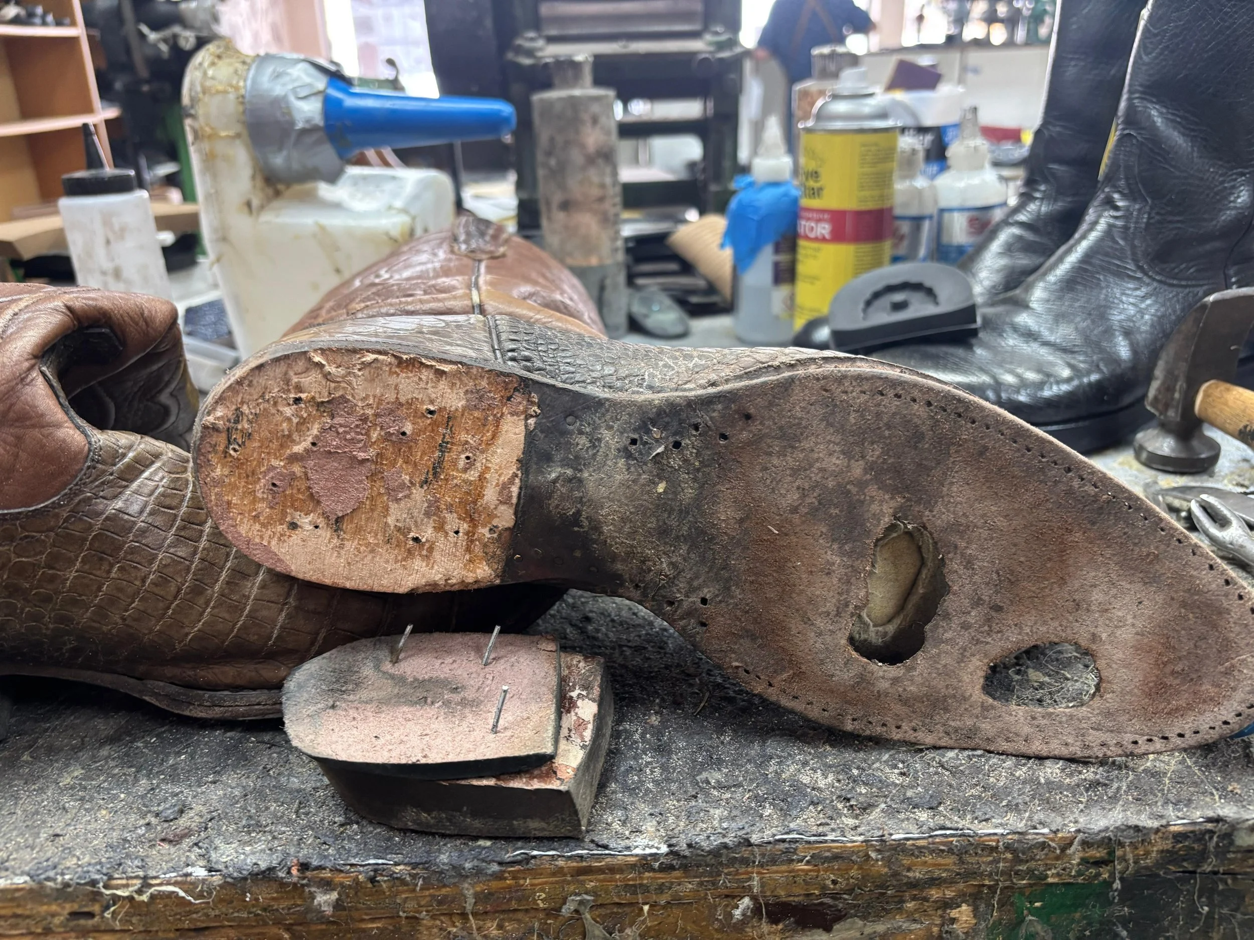 WhatsApp Image 2026-03-26 at 11.21.12 AM.jpeg