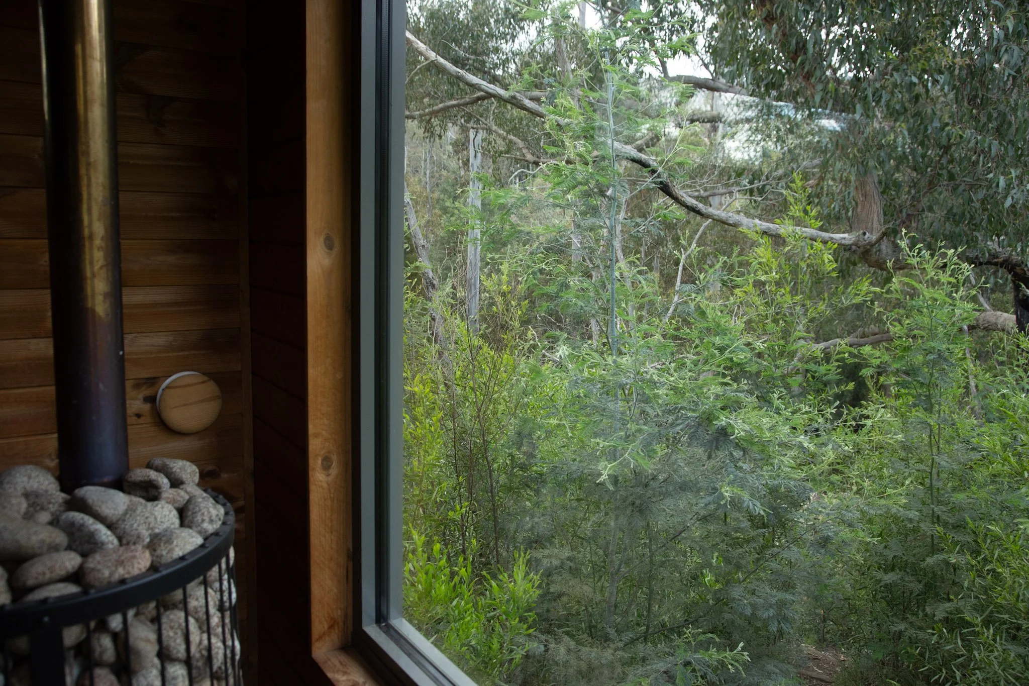 View from wooden cabin to lush forest in Tasmania | nature therapeutic wellness and reconnection imagery