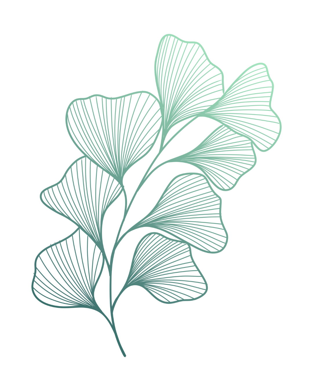 Abstract ginkgo leaf illustration | holistic herbal medicine and wellness imagery for Simple Holistic Health