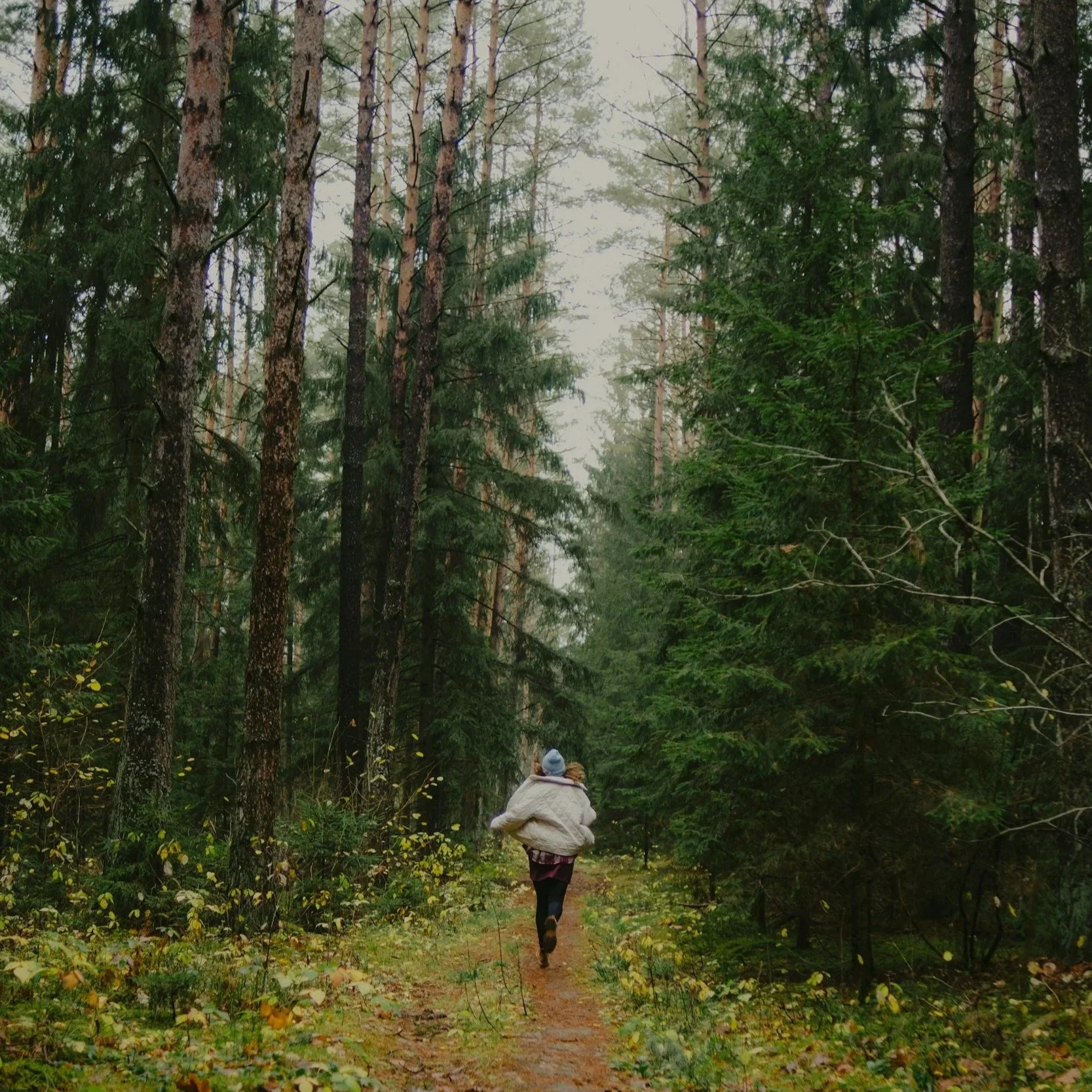 A person running down a forest trail surrounded by tall trees with green foliage.