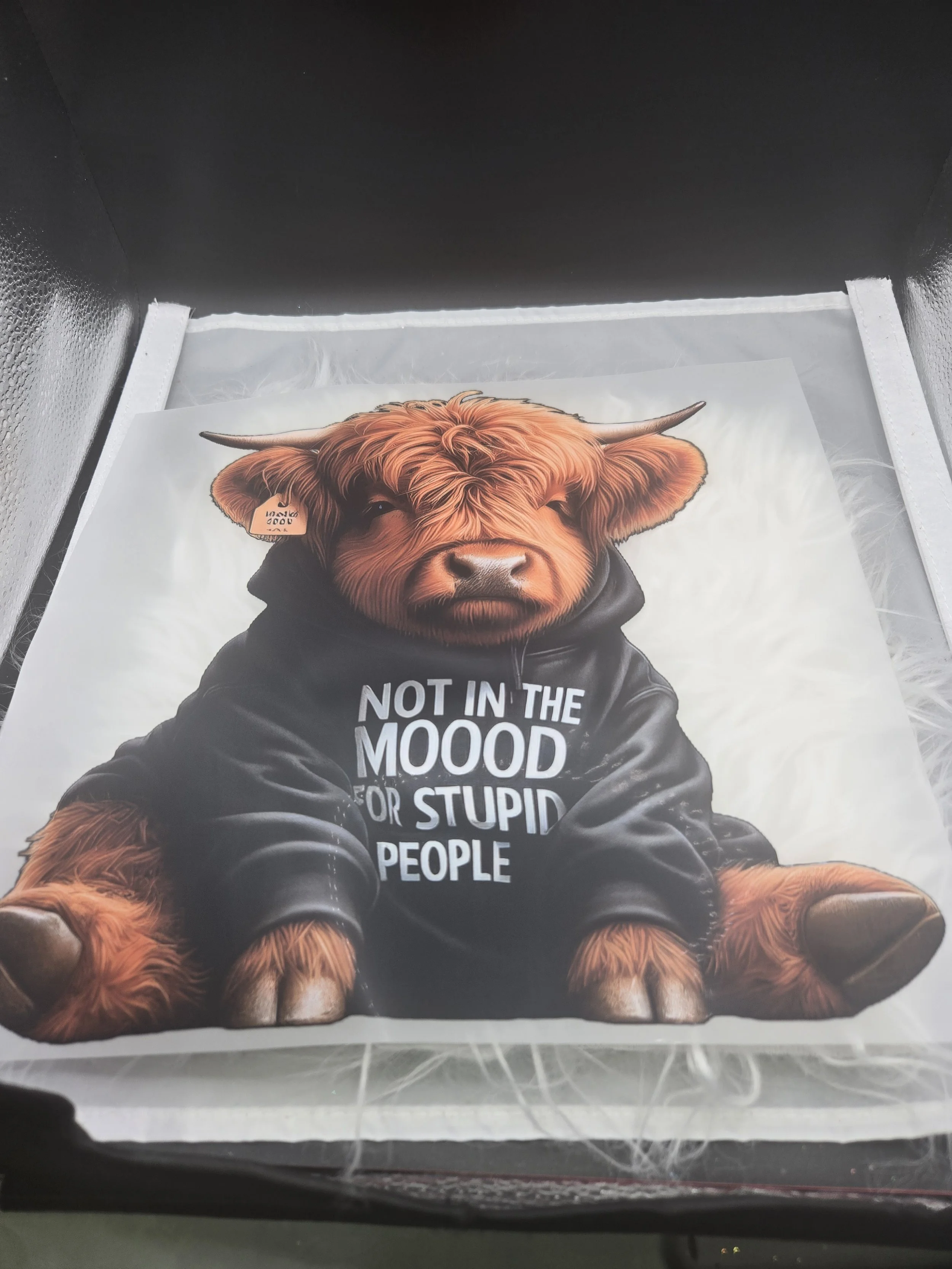 Not in the Mood For Stupid People - Cow - 544