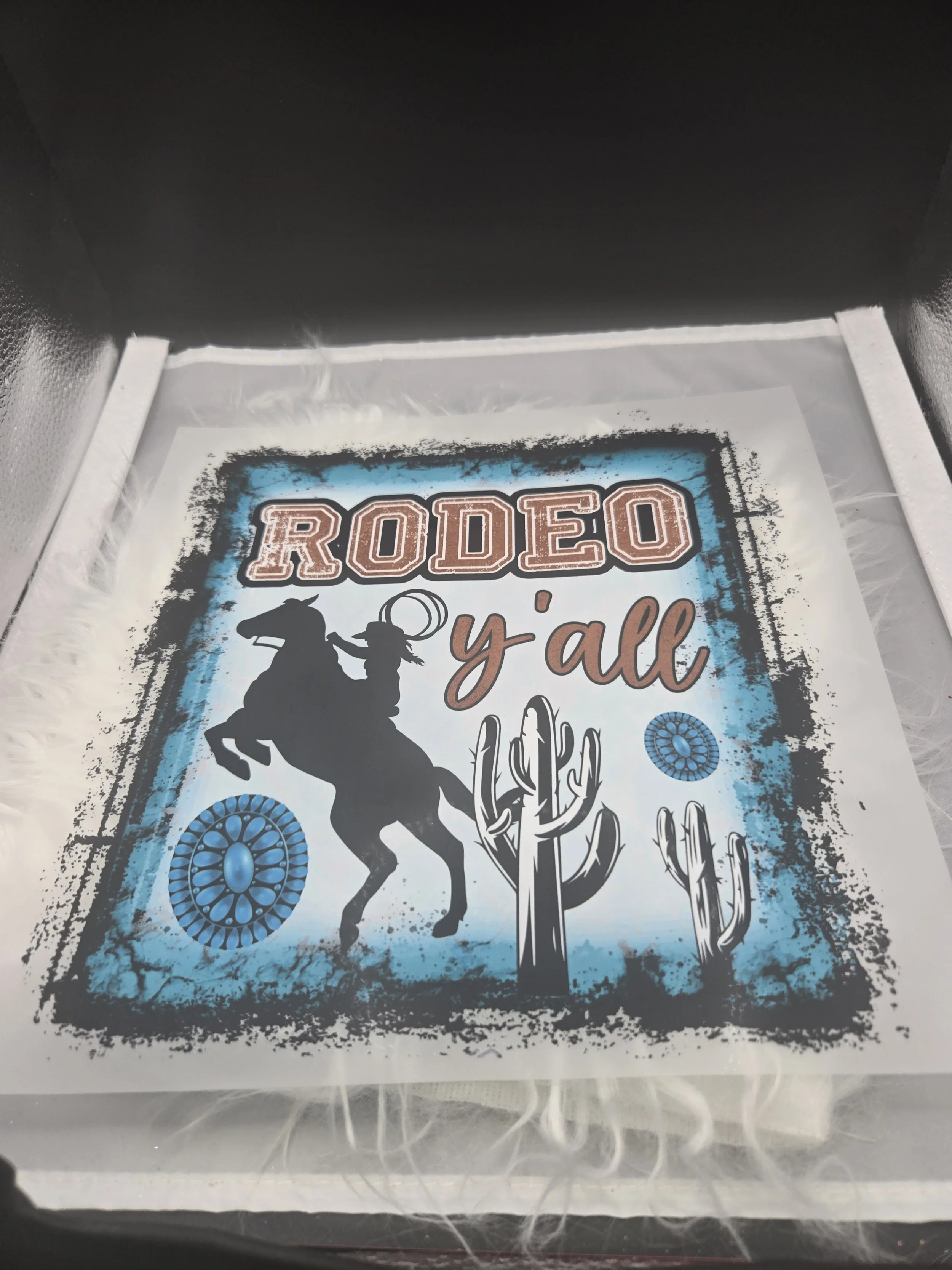 Rodeo Y'All - 511
