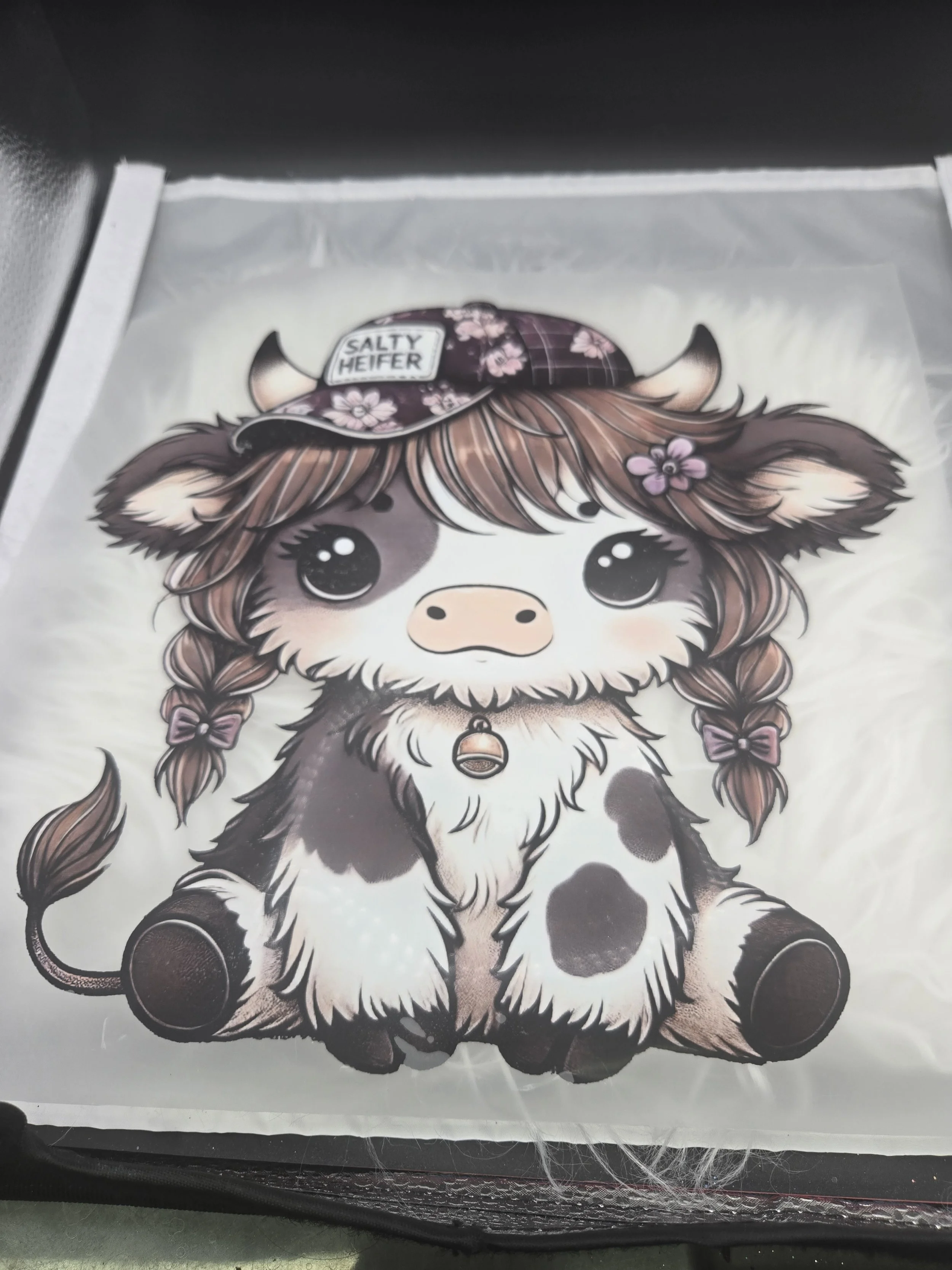 Salty Heifer - Braids- Cows