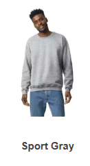 SWS Sport Gray.png