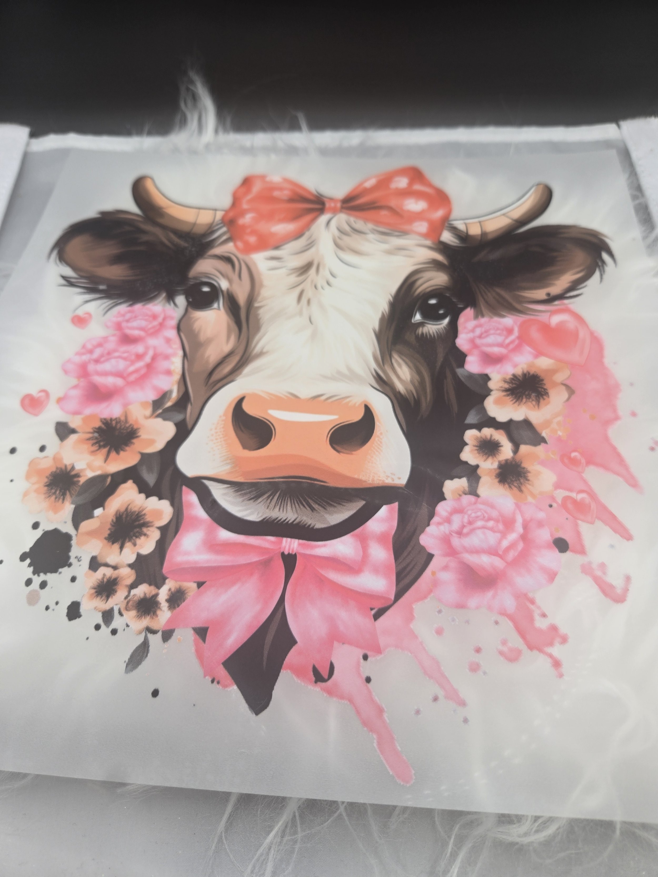 Bows Cow - 541