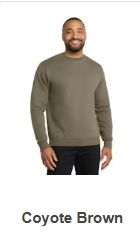 Coyote Brown.png (Copy)