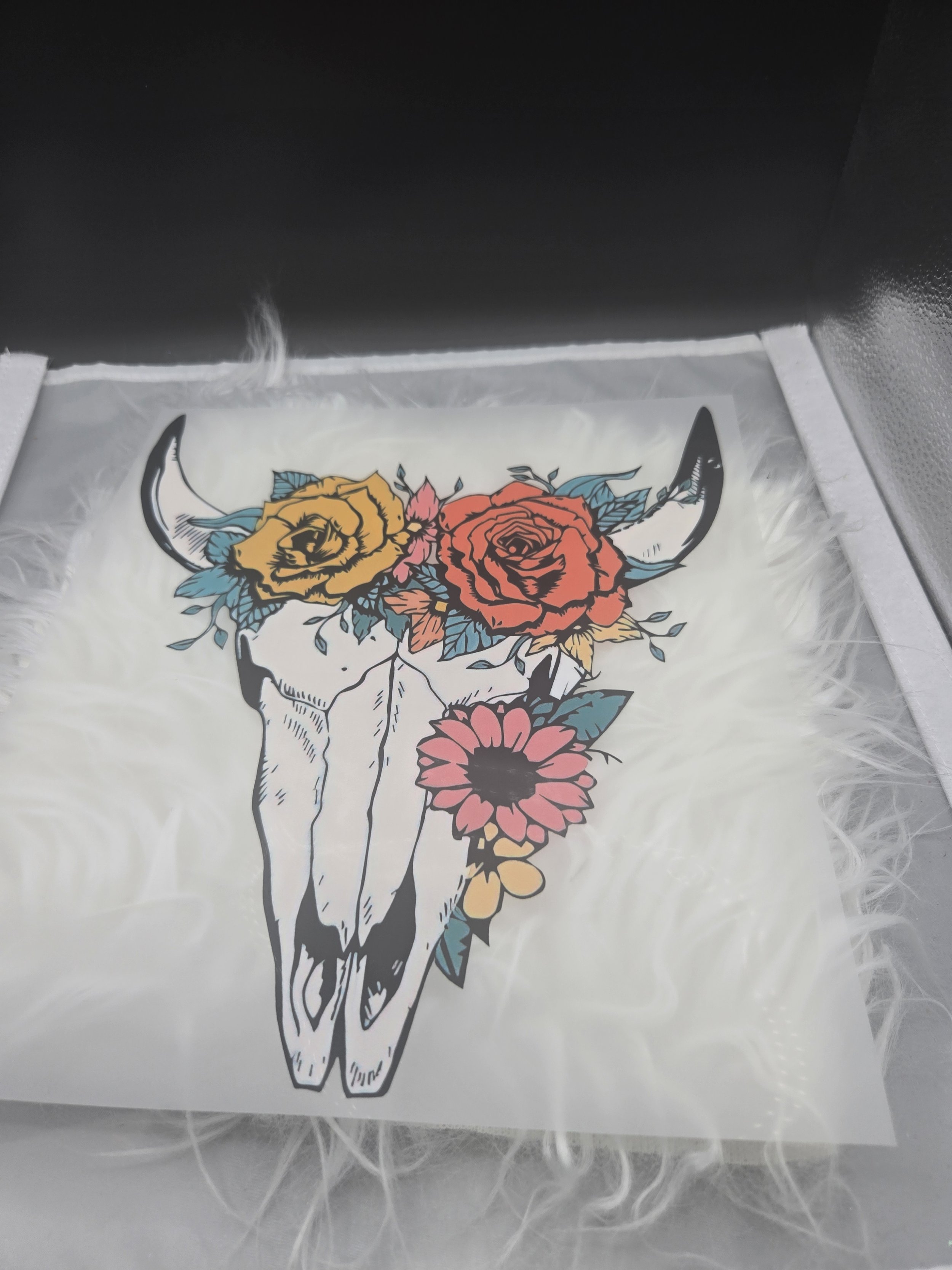 Bull Skull - 559