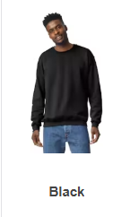 SWS Black.png
