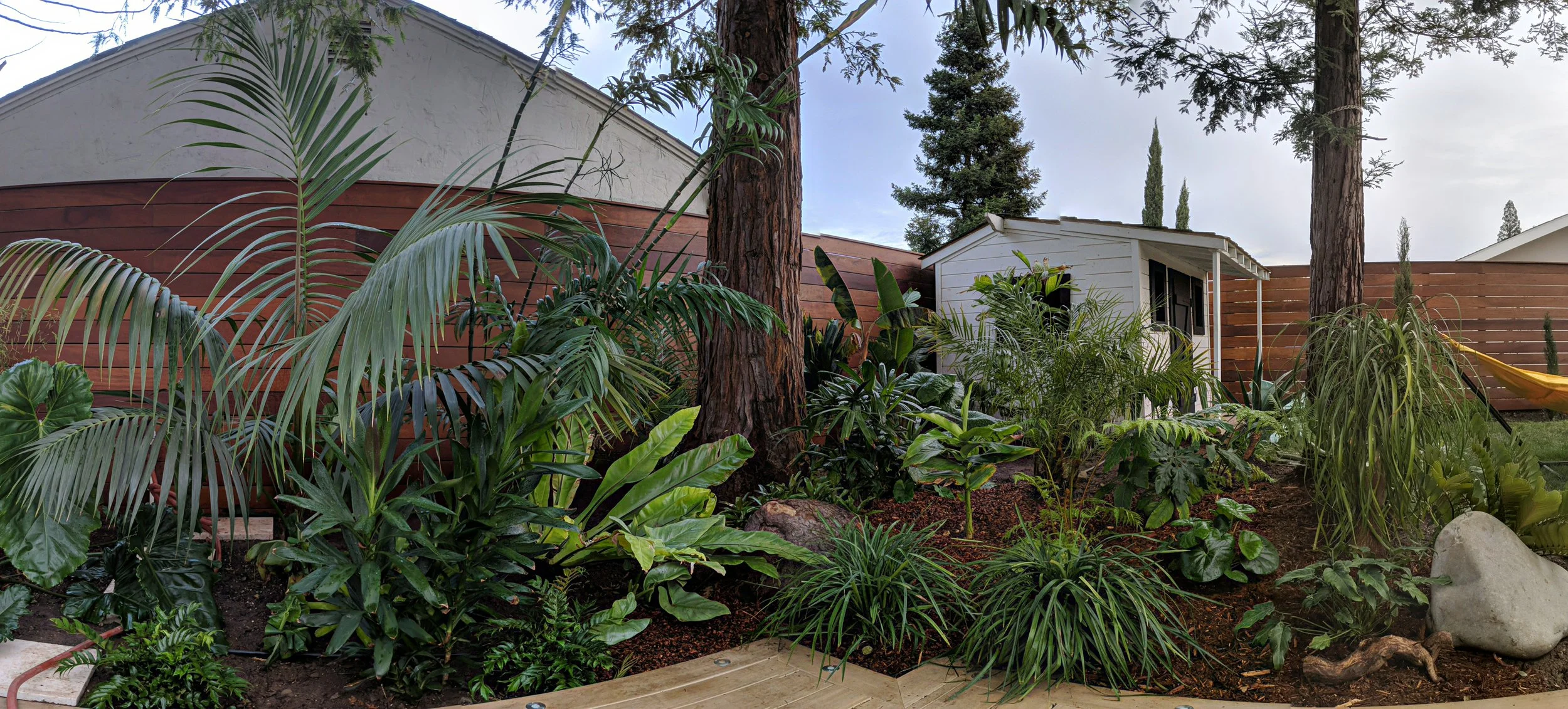 PXL_20210210_010708961.PHOTOSPHERE.jpg
