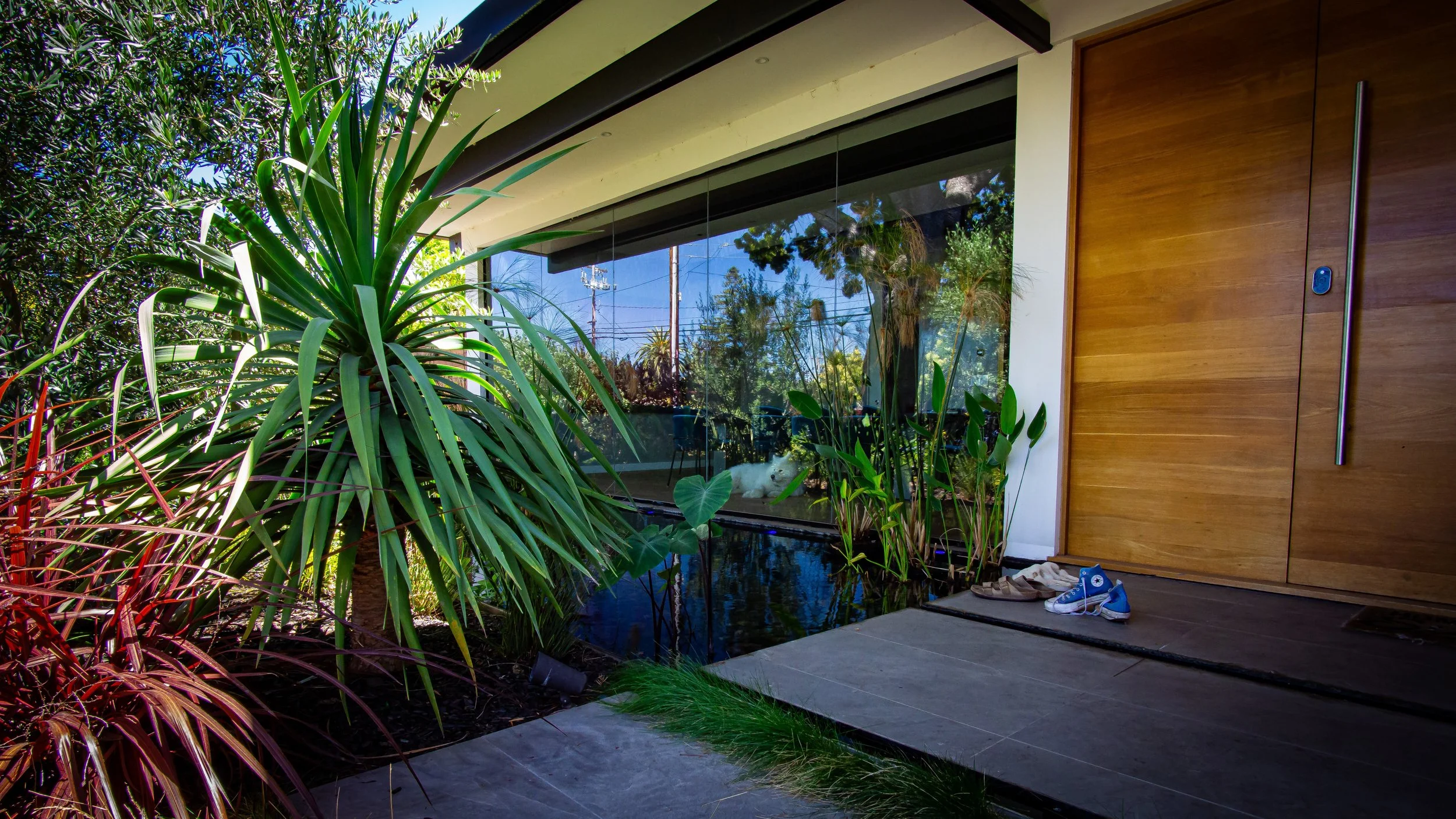 Almond Ave-8 copy.jpg