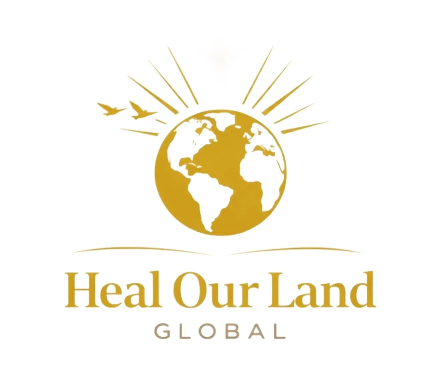 Heal Our Land Global│Missionary NGO to DR Congo &amp; Nations