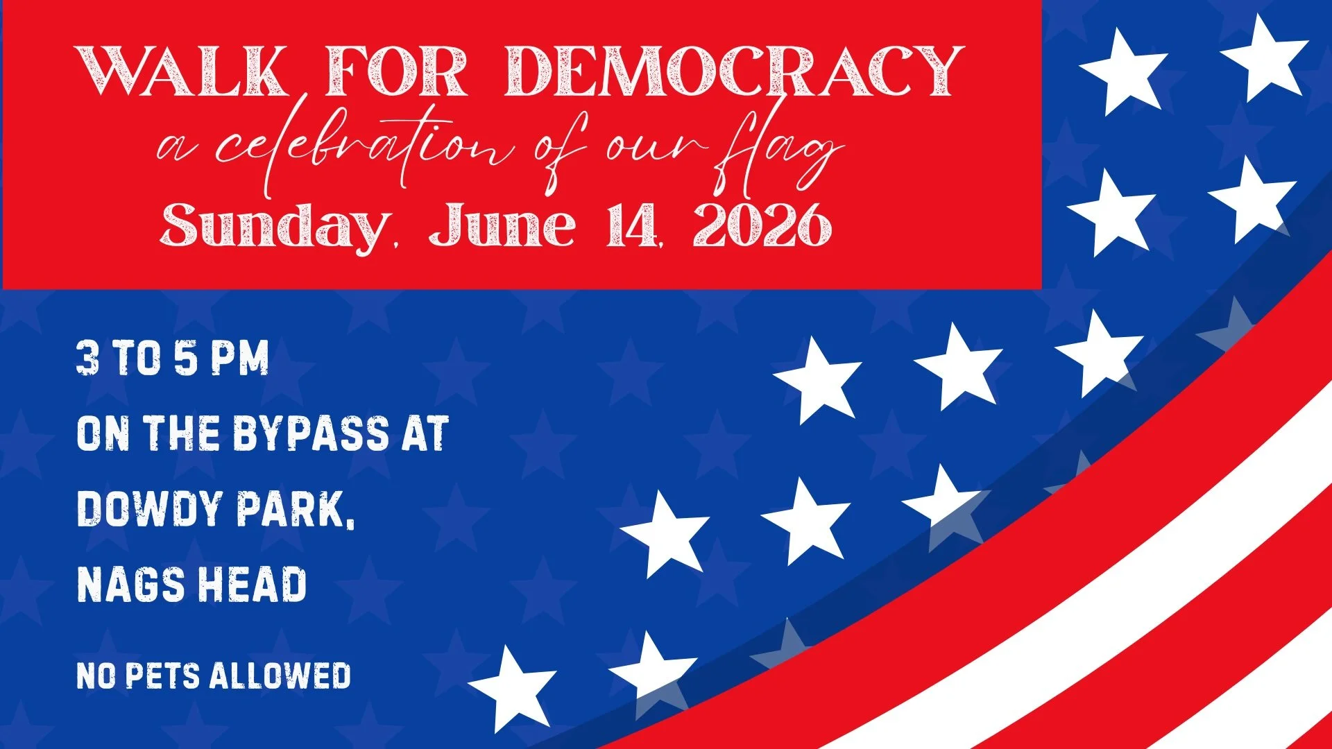 Walk for Democracy — Flag Day Community March