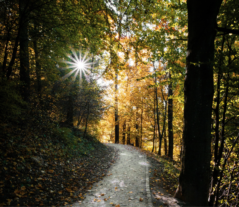 How Therapy Intensives Accelerate Your Path to Healing